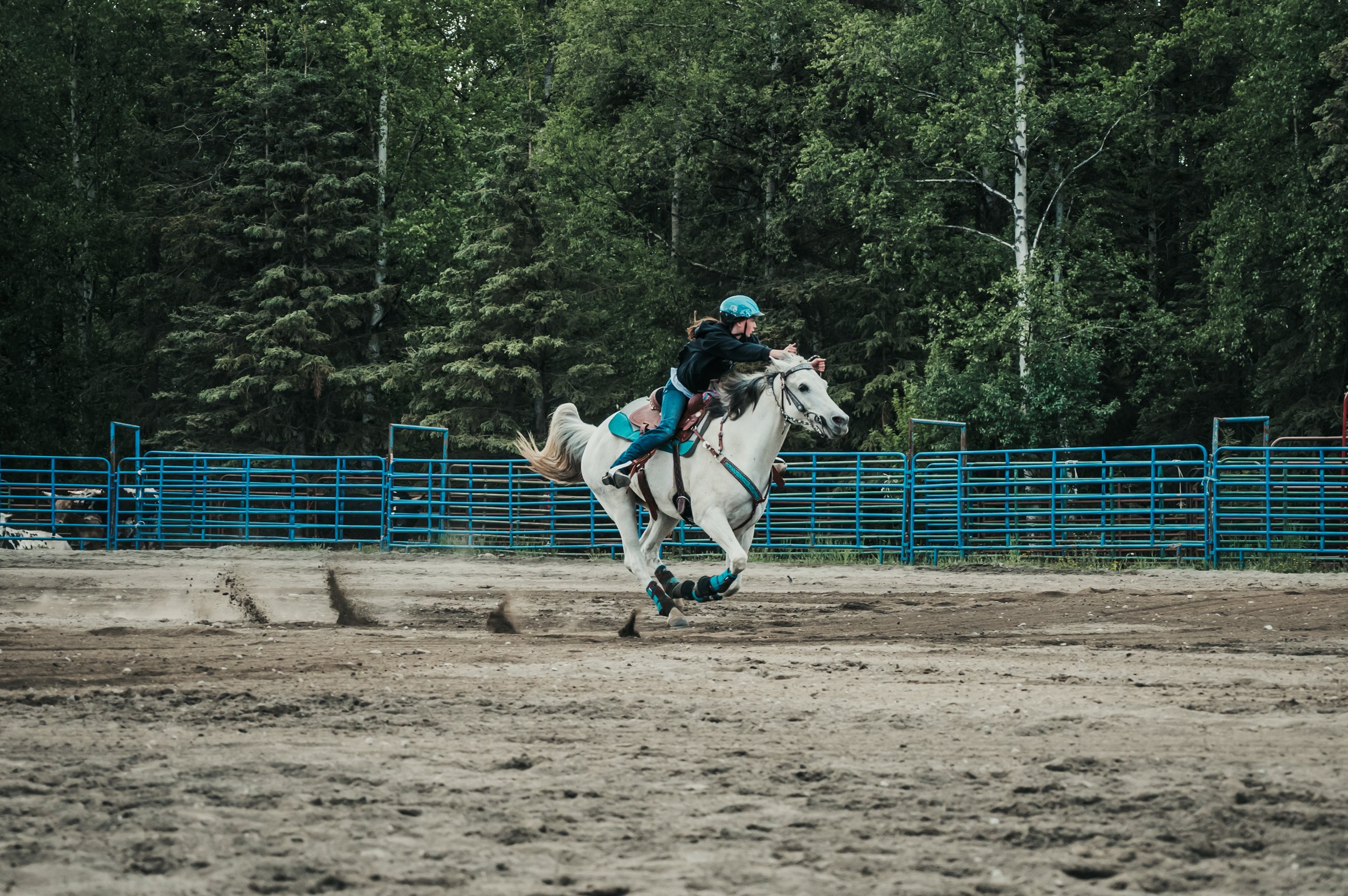 North and Wild Barrel Racer