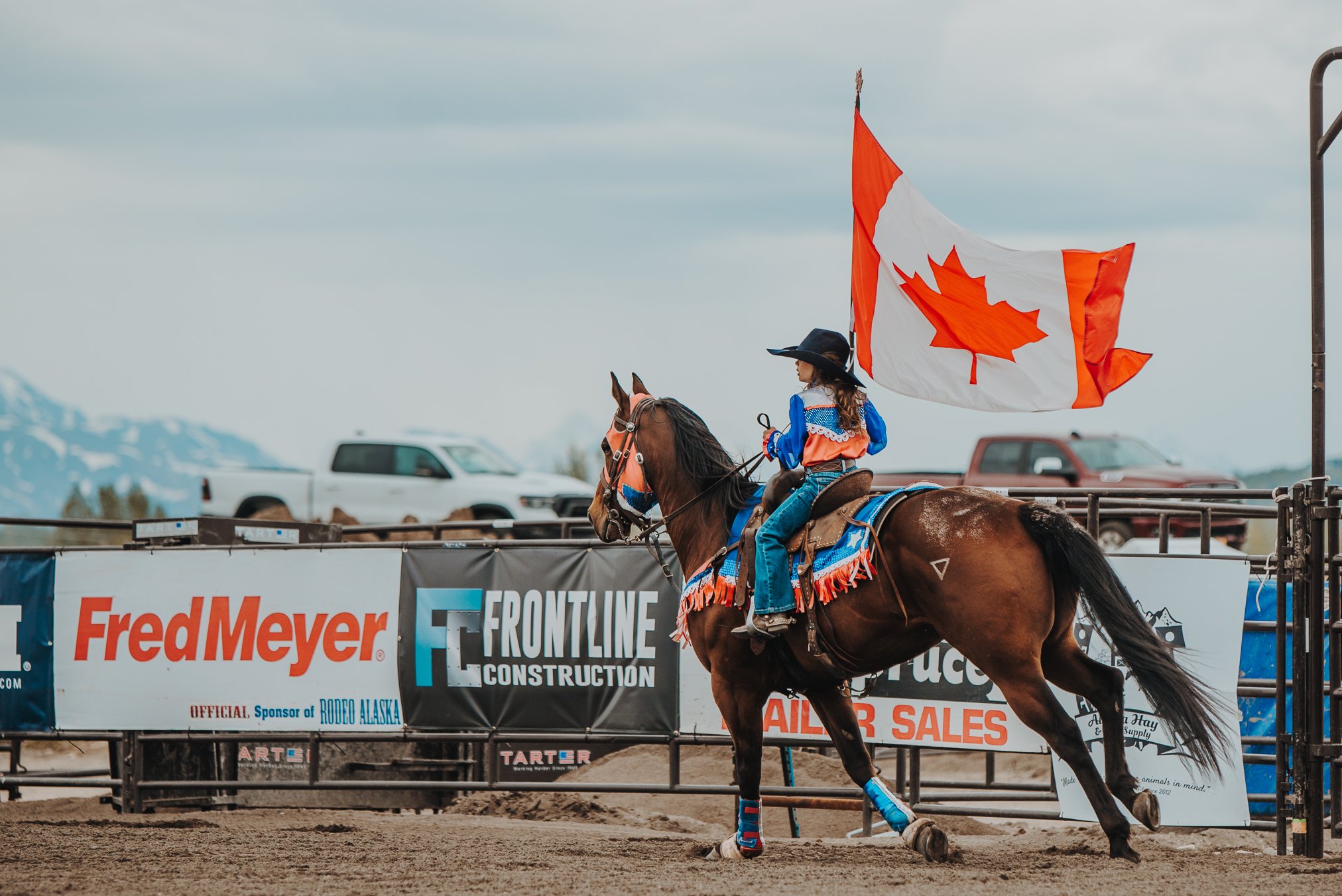 North and Wild Rodeo