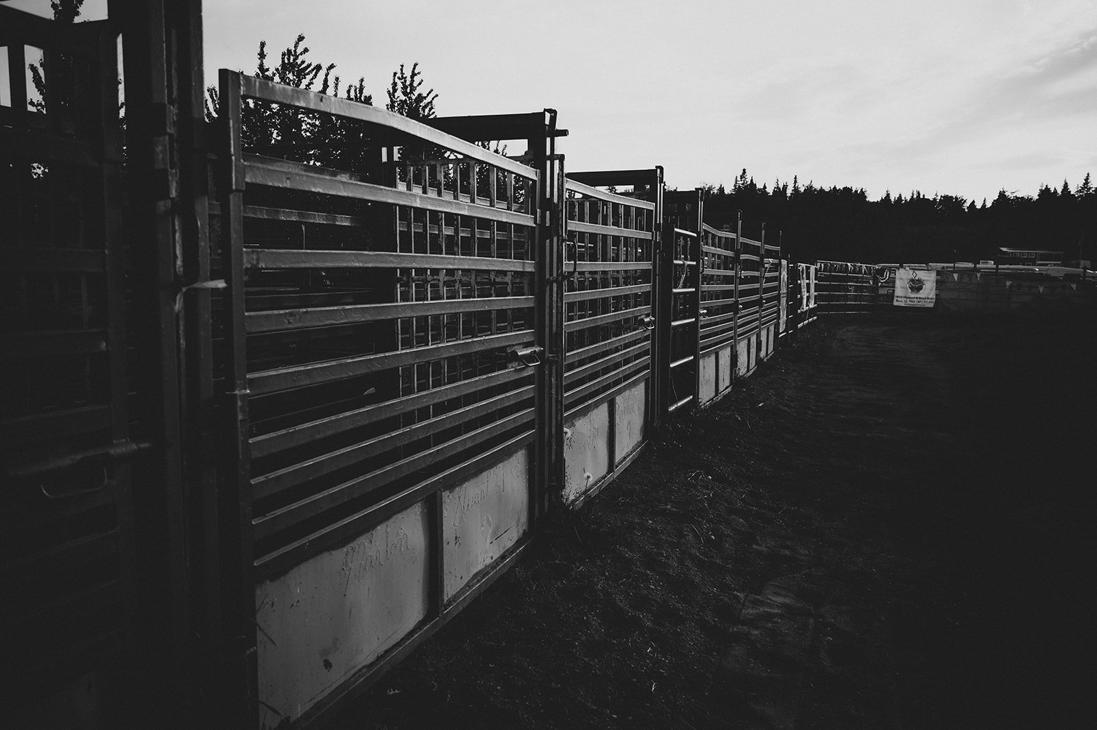 NinilchikRodeo_LauraStockemerPhoto2020_HR-7900.jpg