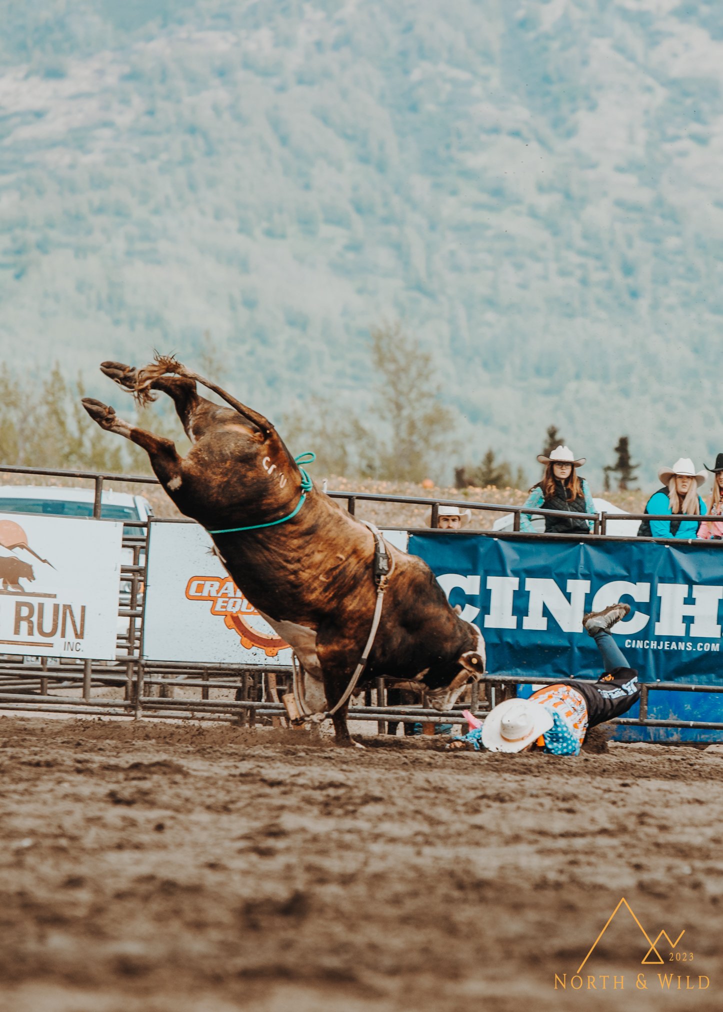 North and Wild Rodeo