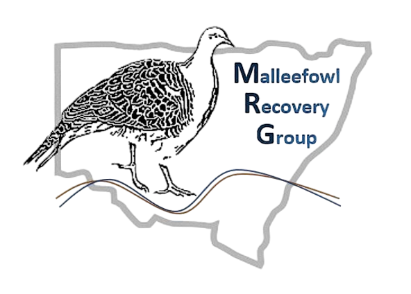 NSW Malleefowl Recovery Group