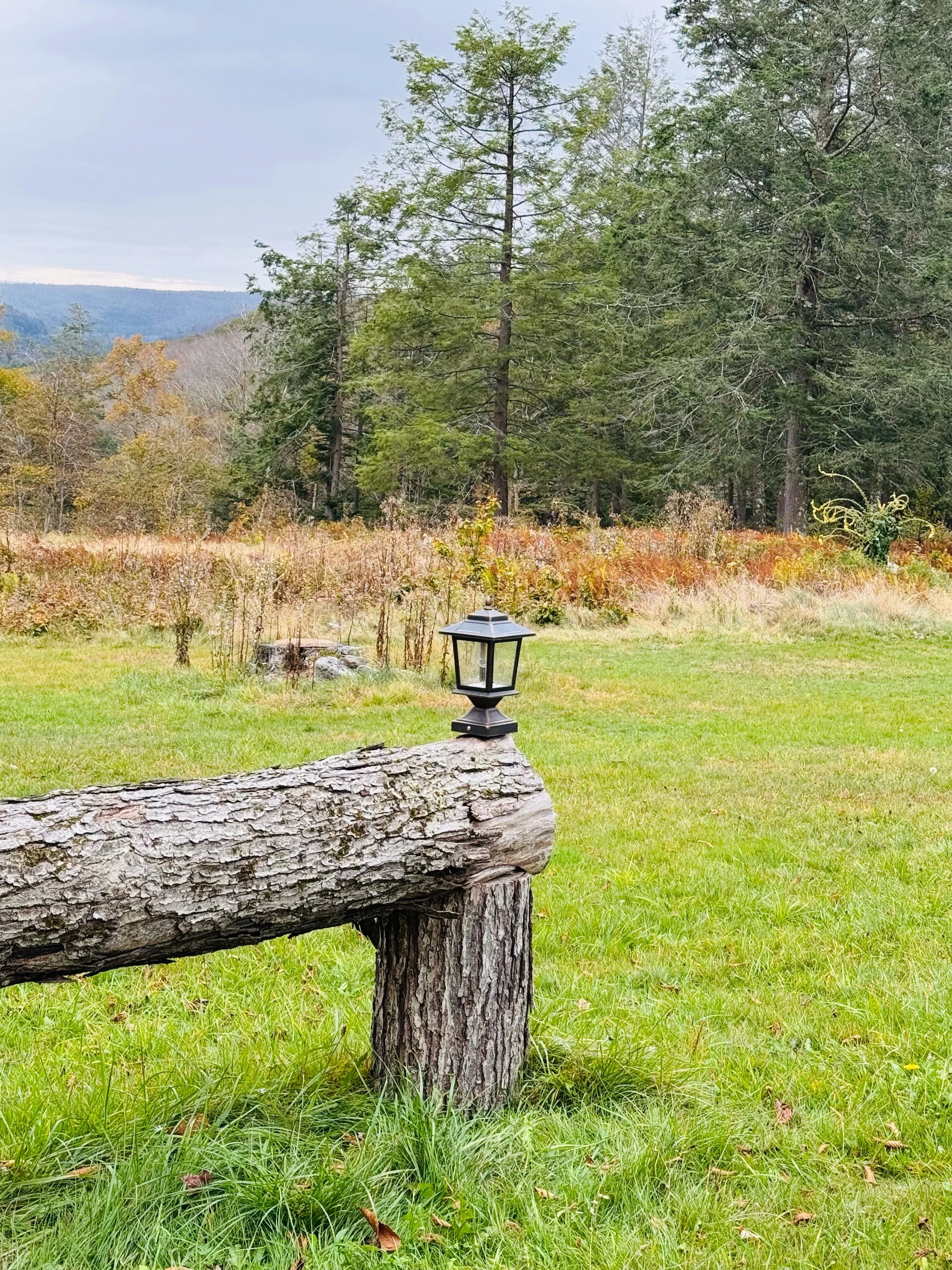 Thanksgiving Wellness Retreat