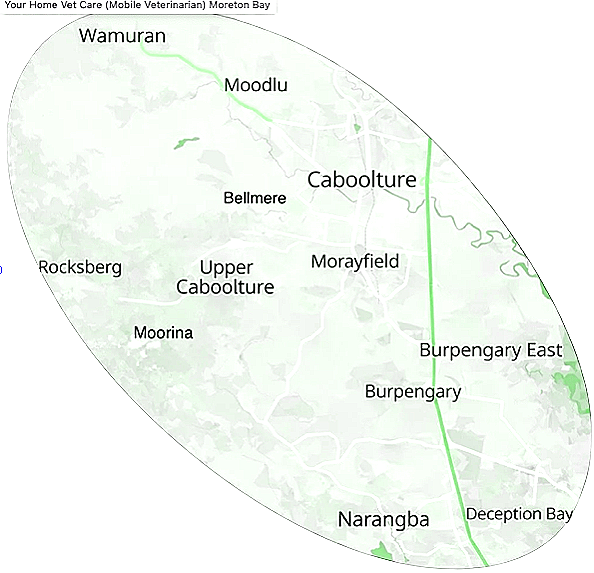 Your Home Vet Care Main Zone 1 Mobile Vet Moreton Bay