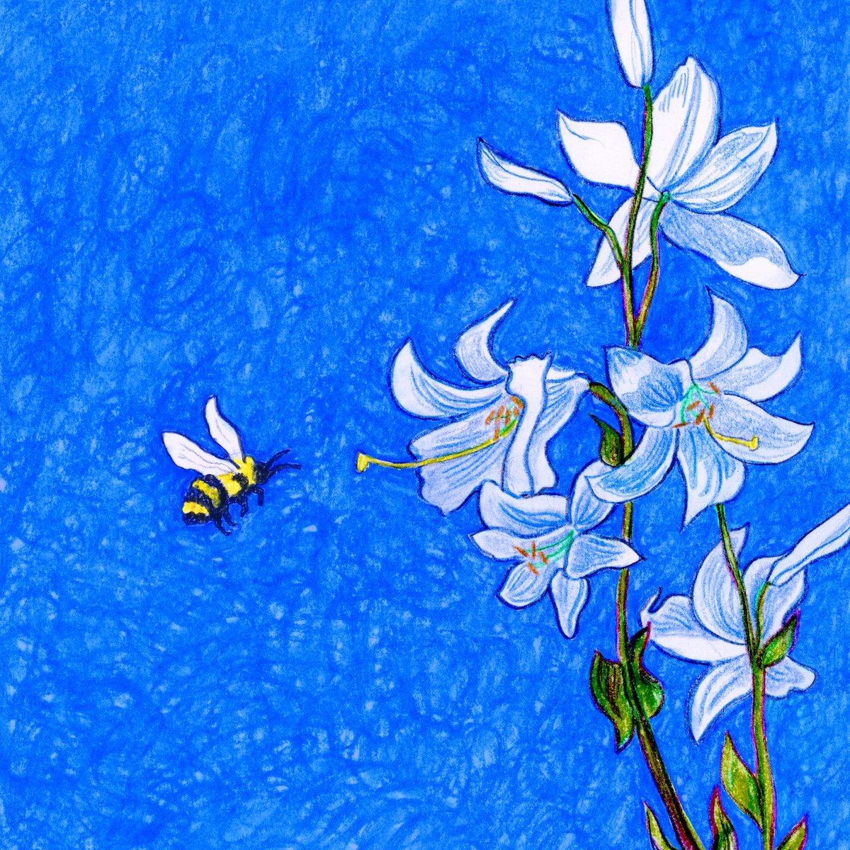 greendreamer-bee smallfile.jpg