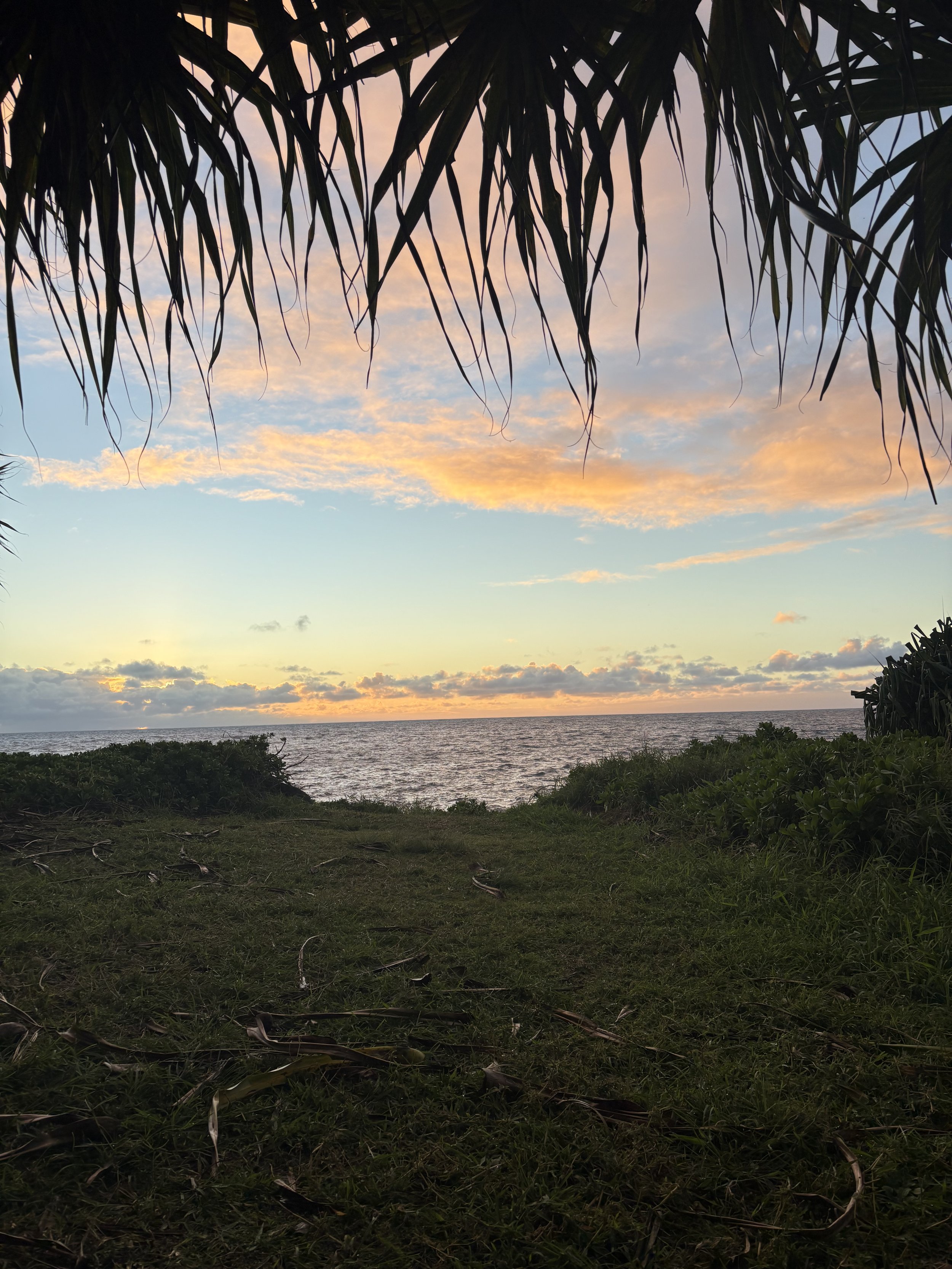 Light Workers Are Here to Thrive