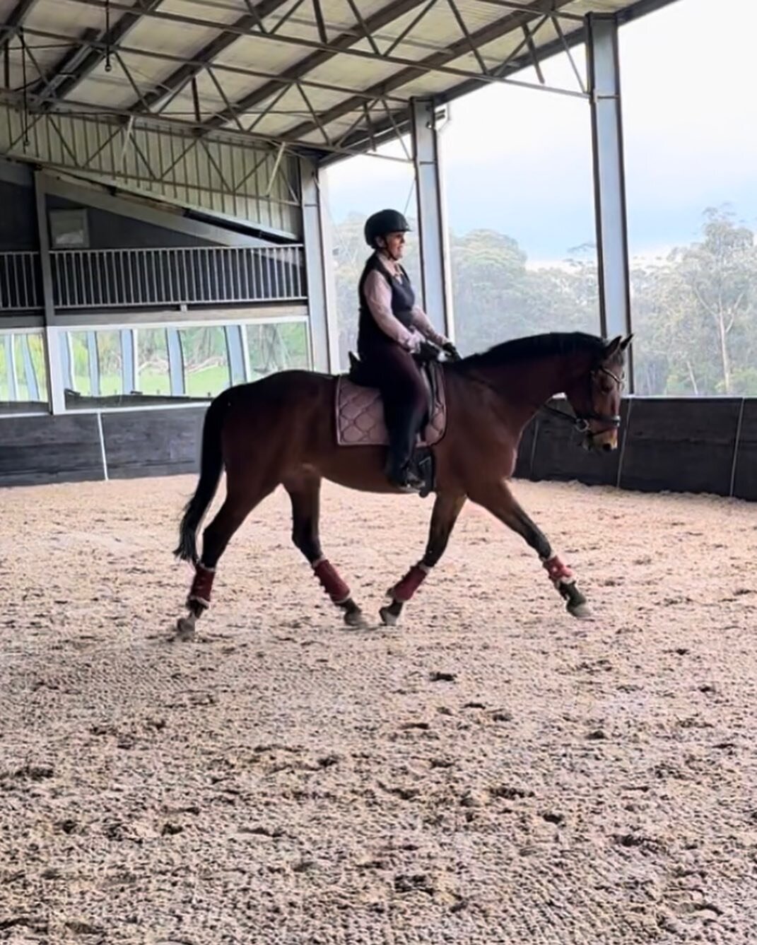 Thank you so much to yesterday&rsquo;s clinic attendees for making the day such a positive, inclusive and fun environment. There were so many fantastic outcomes for both you and your horses! 

There are clinics coming up on November 12 and December 1