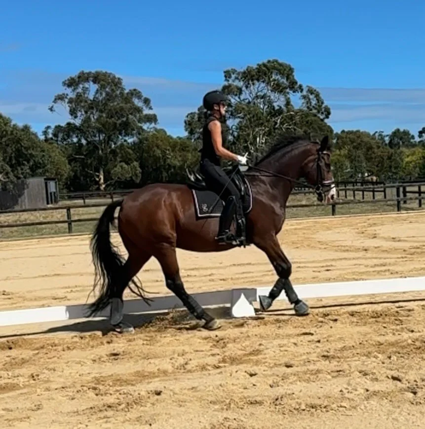 Balanced rider, balanced horse! I had a fantastic day on the Peninsula this week, working with a group of committed and focused riders, and their wonderful horses.