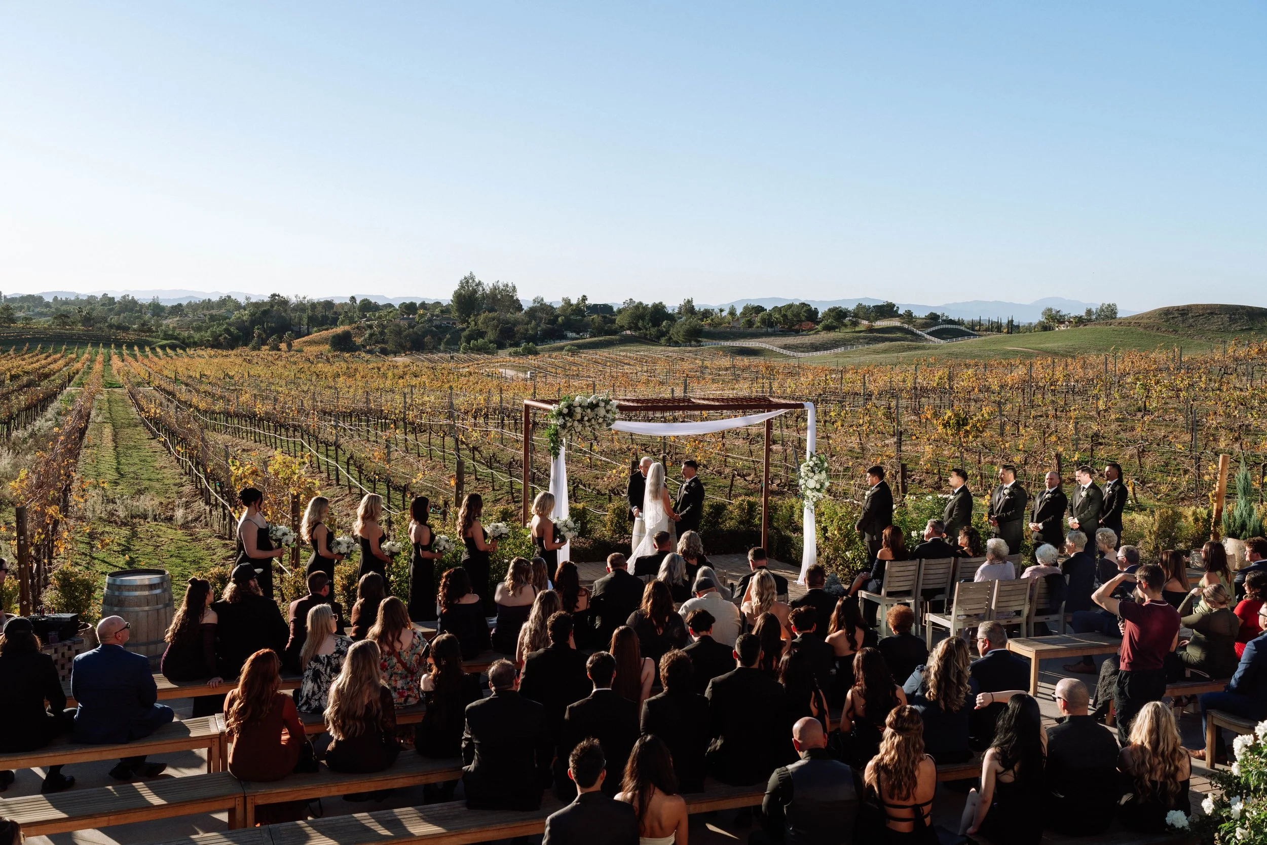 Wedding portfolio-95.jpg