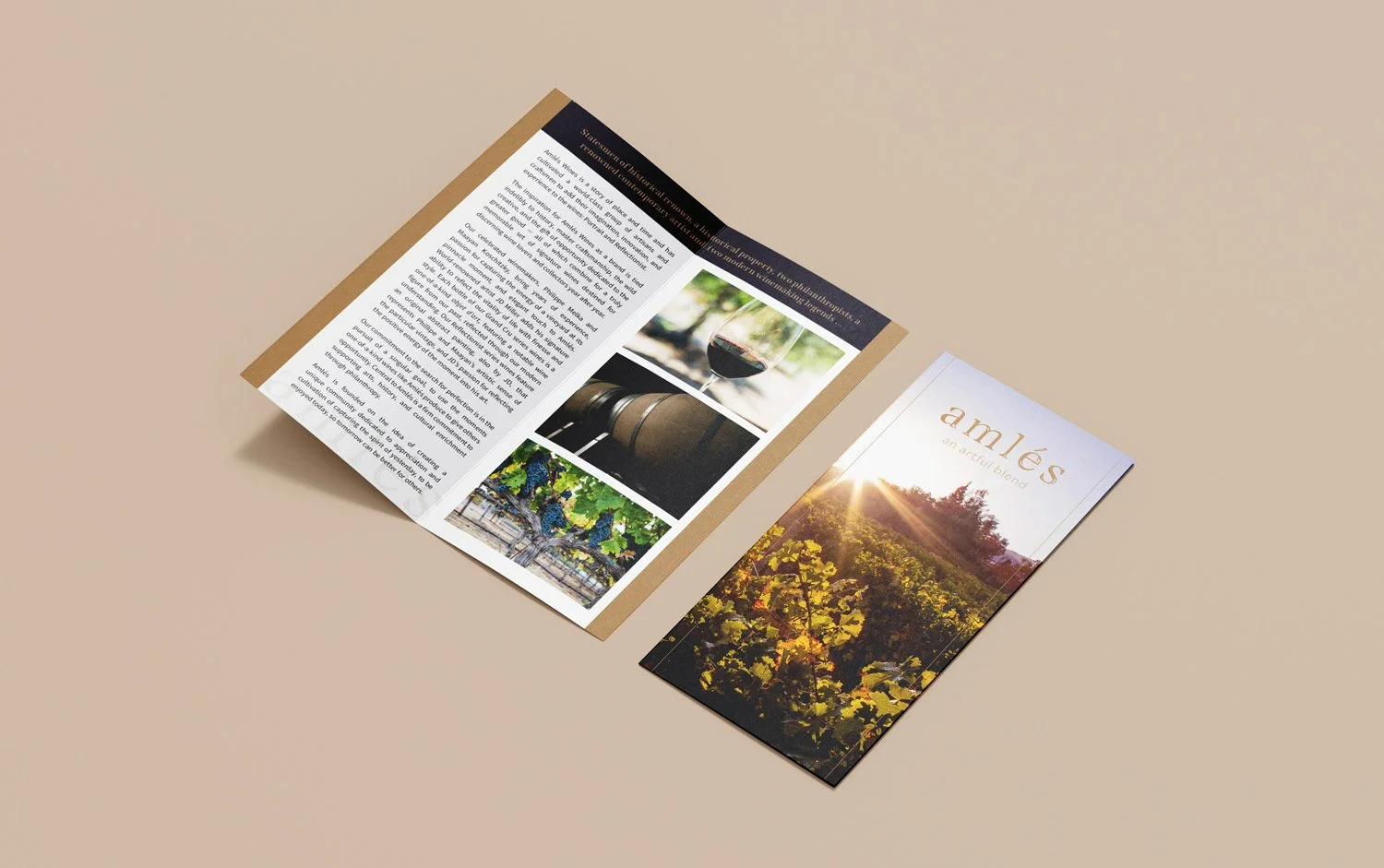 amles-brochure.jpg
