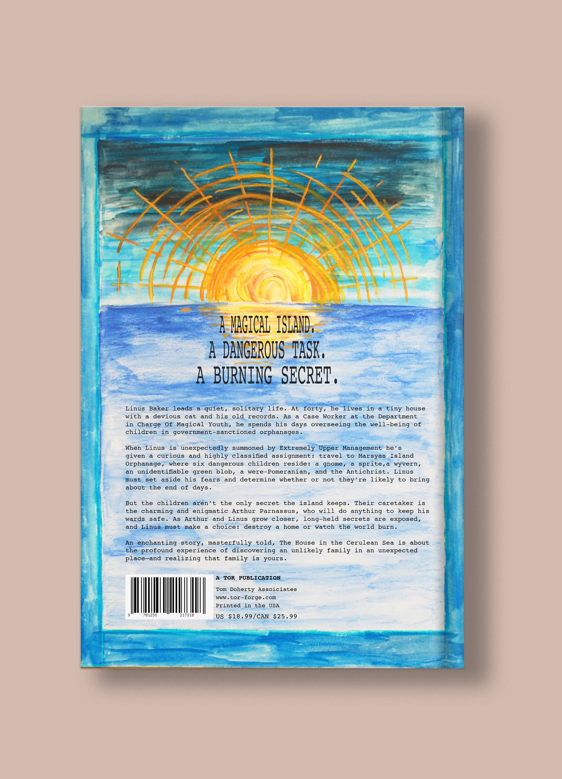 Ackley-Bookcover-BackCoverMockup.jpg