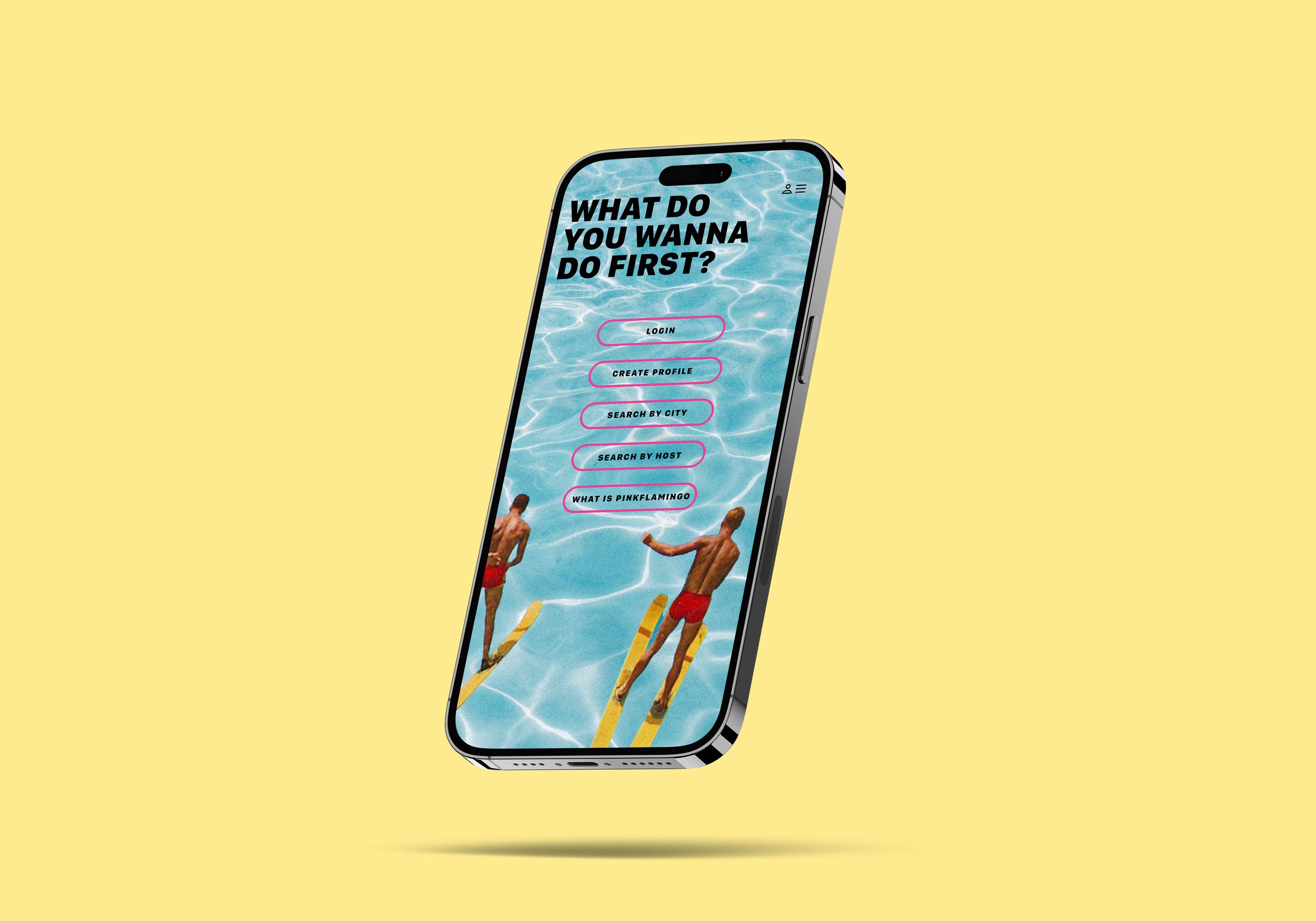Ackley-Portfolio-PinkFlamingo-Screen2.jpg