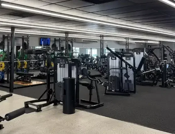 the gym on moseley