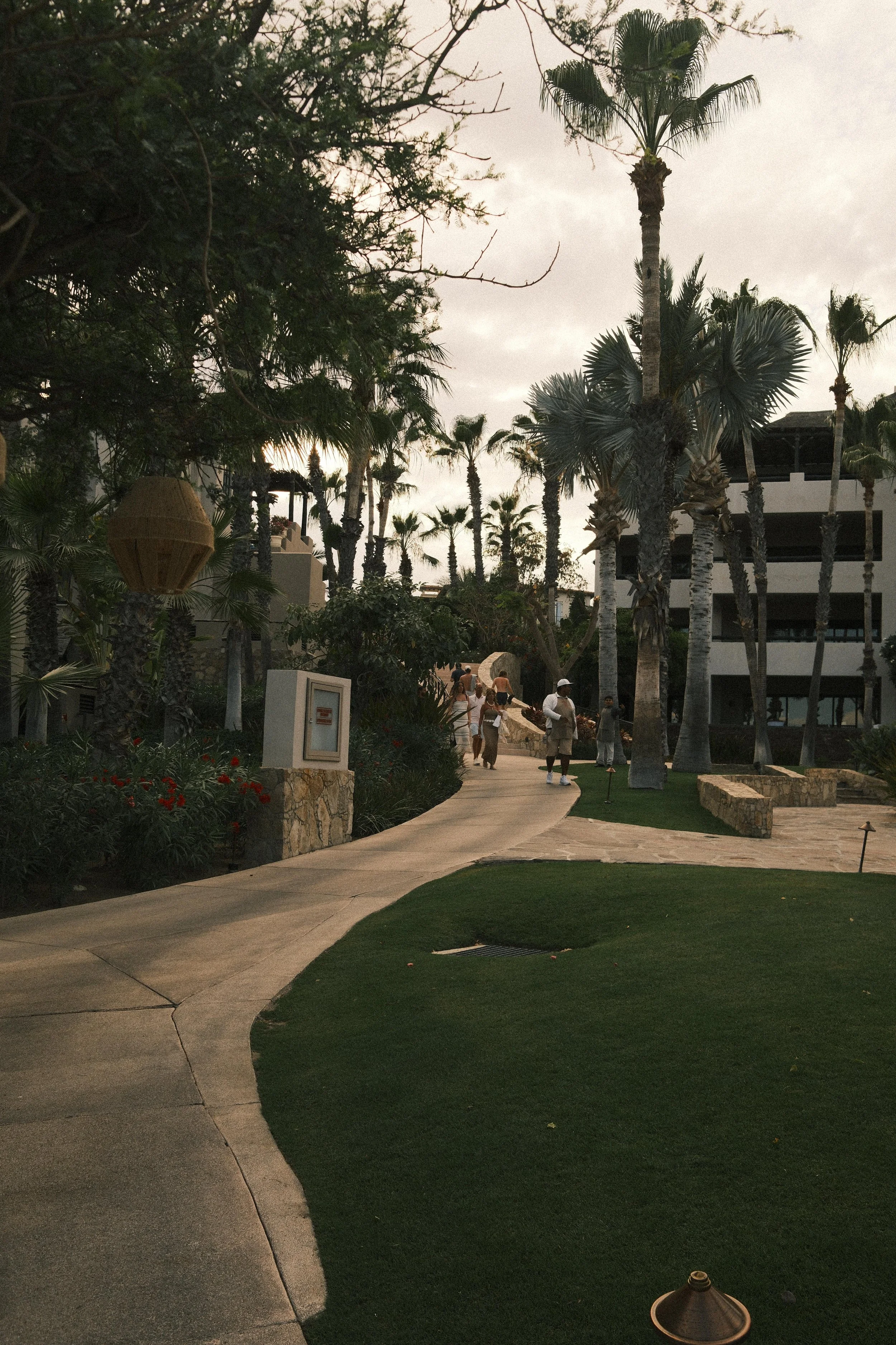 _DSF0082.JPG