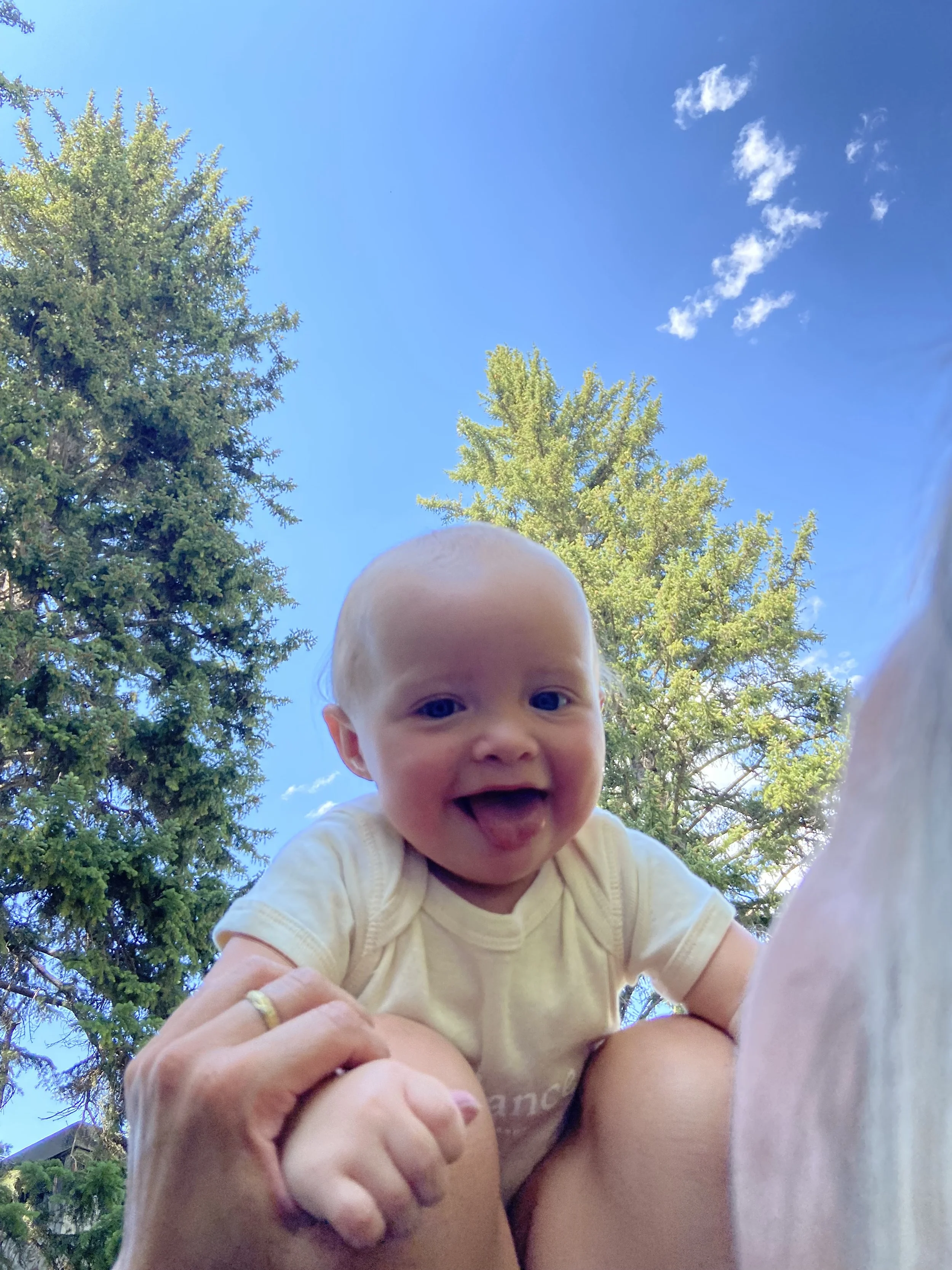 IMG_0571.jpeg