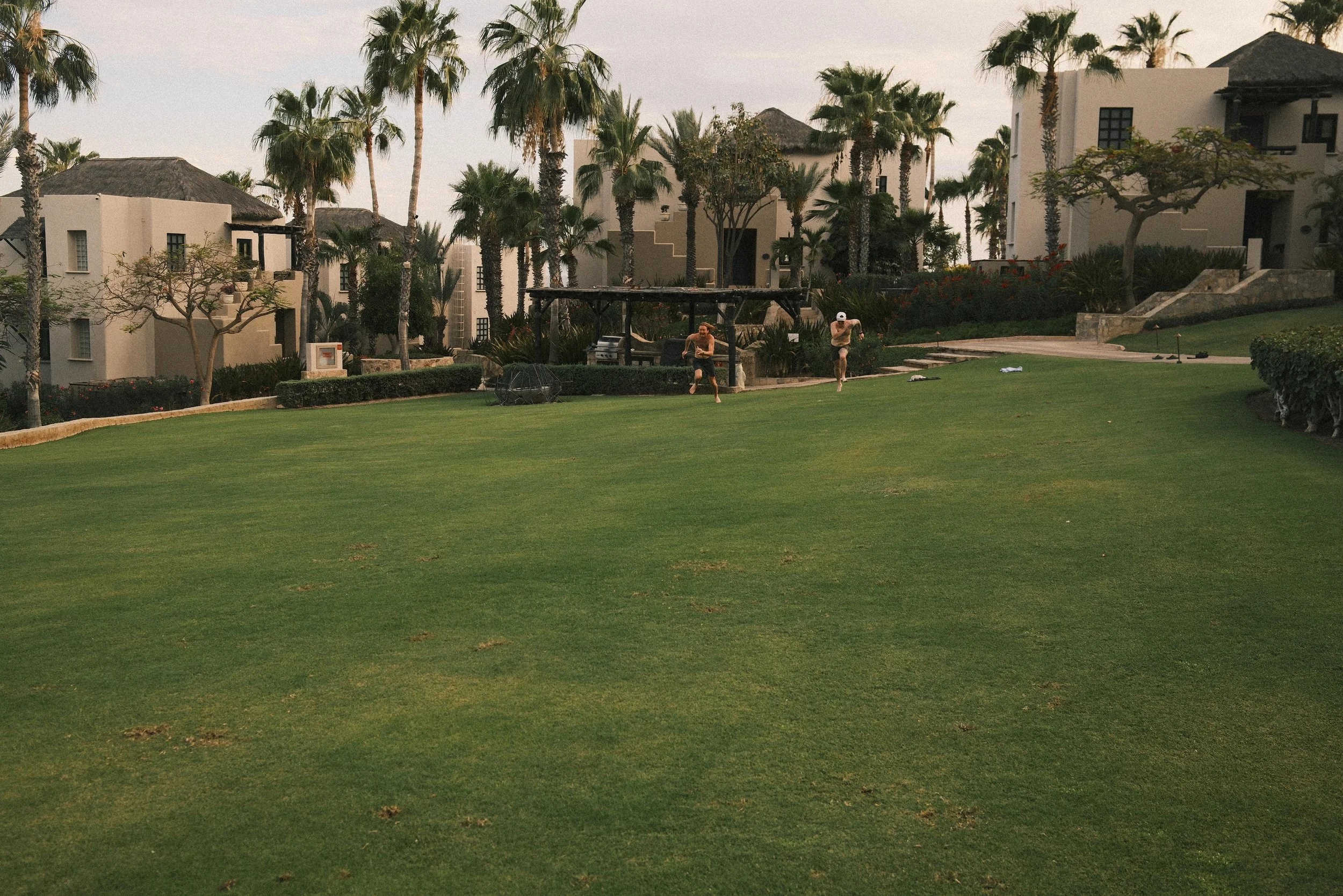 _DSF0063.JPG