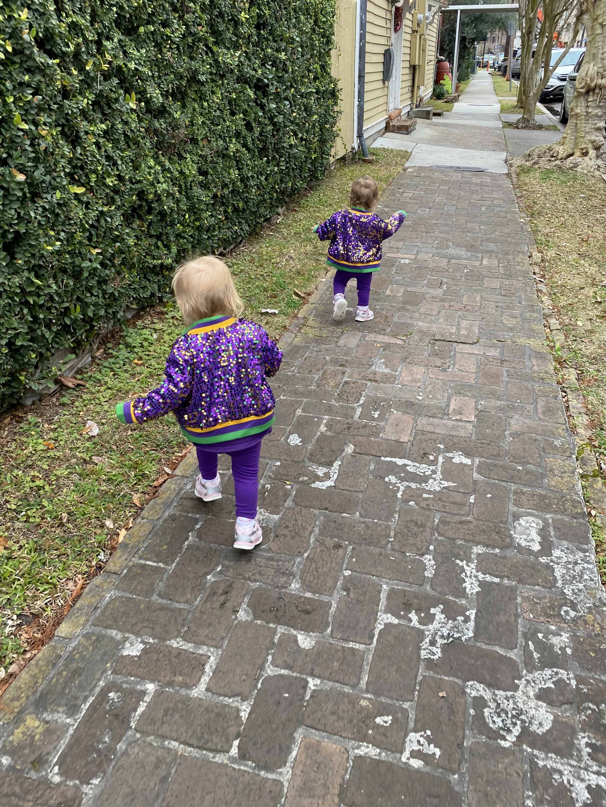 IMG_1974.jpeg