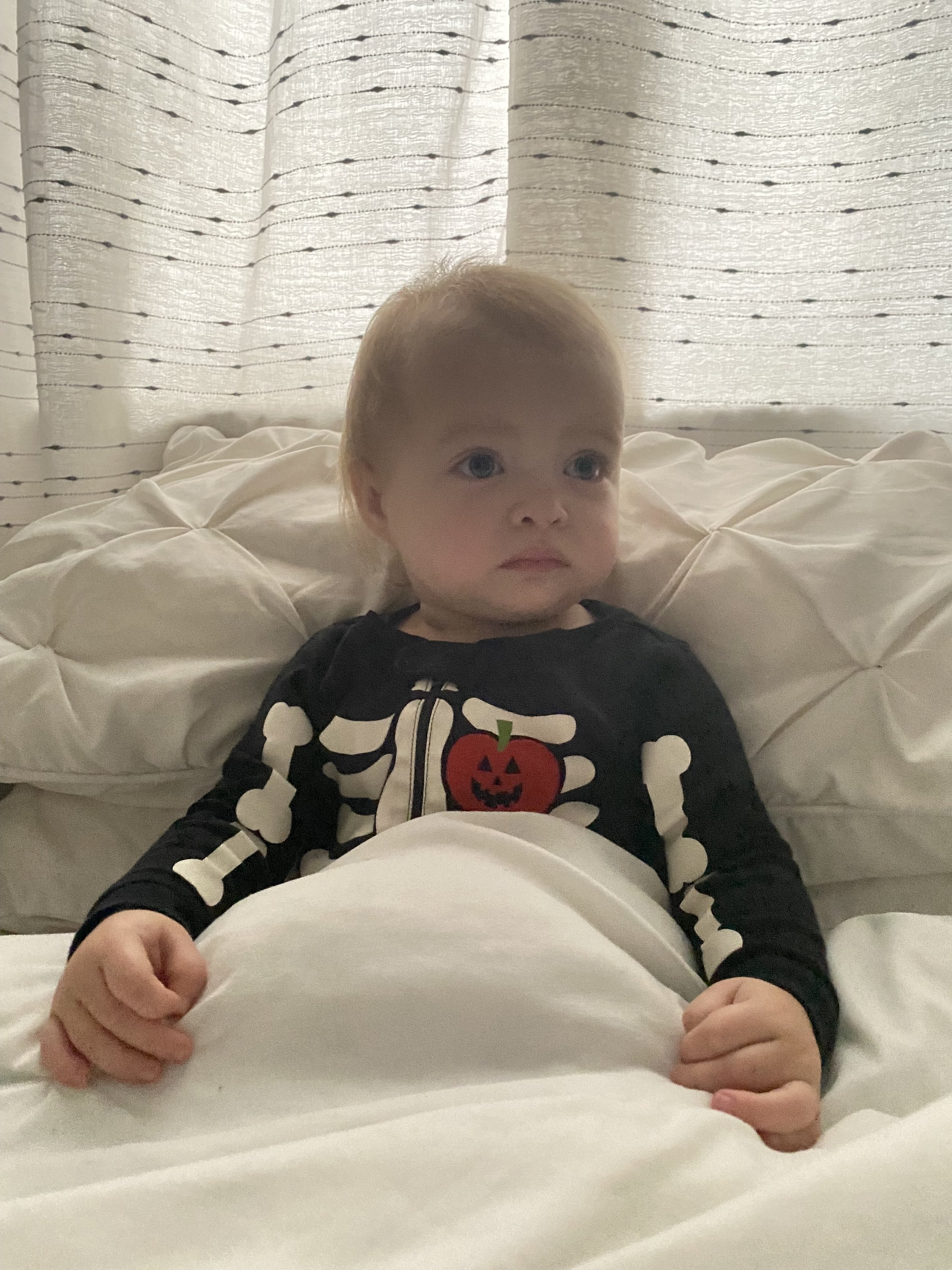 IMG_0961.jpeg