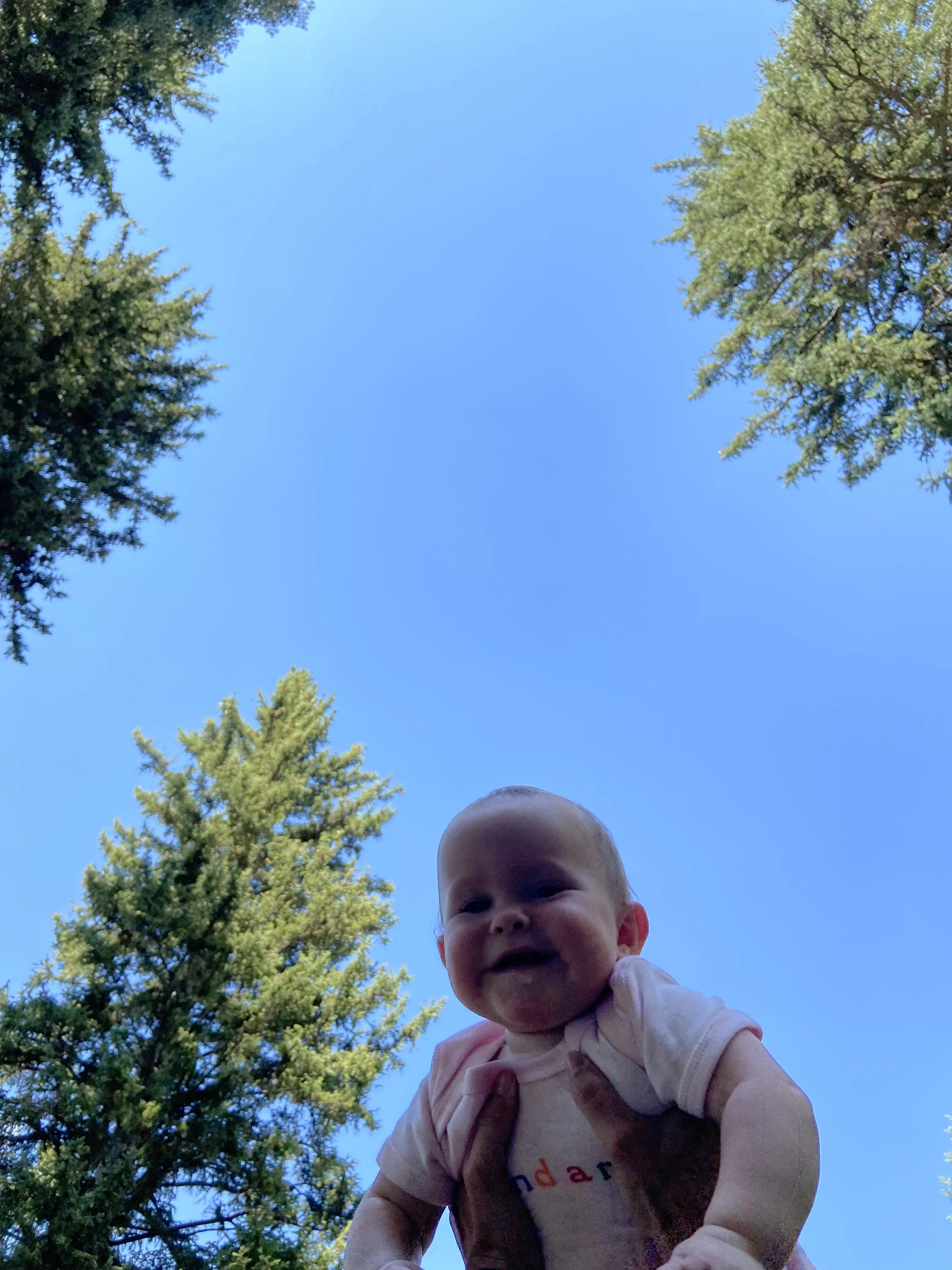 IMG_0610.jpeg
