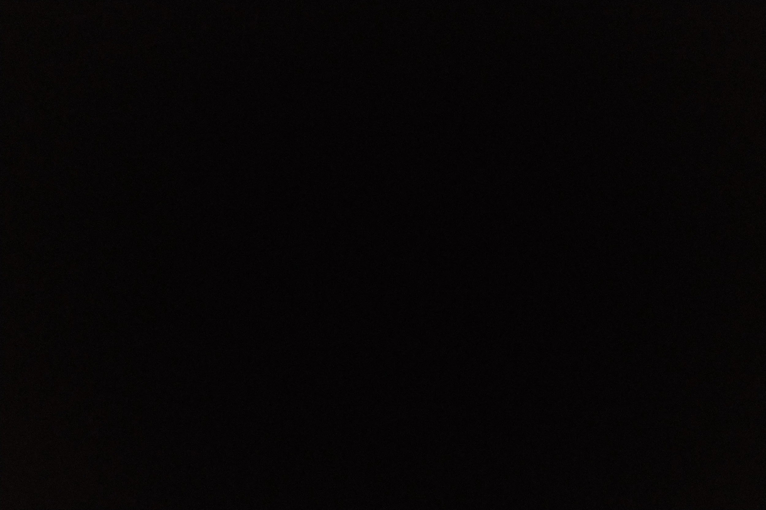 _DSF0162.JPG