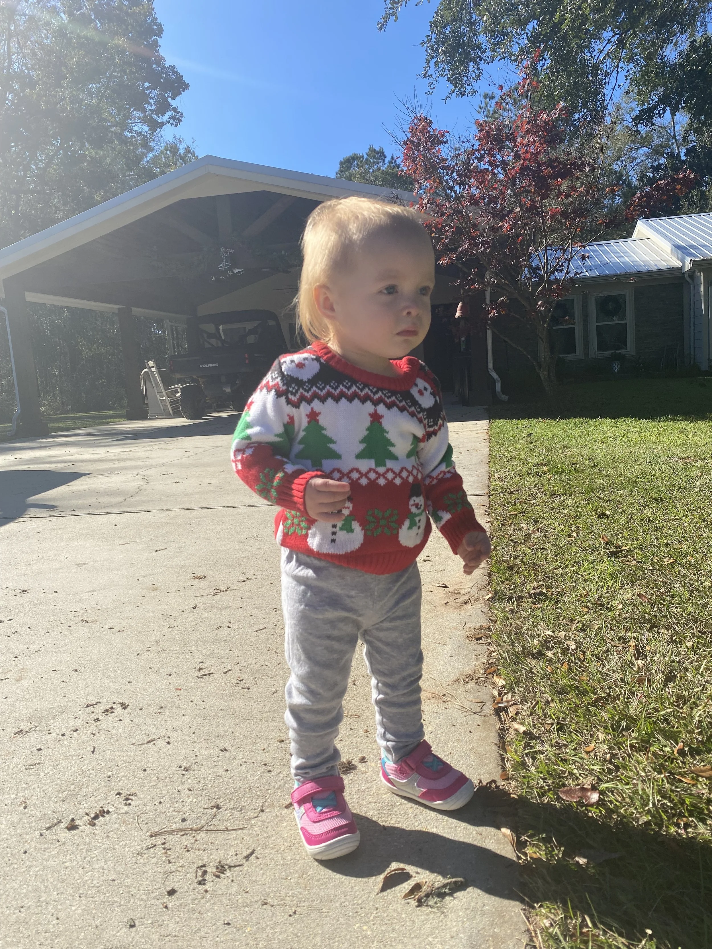 IMG_1048.jpeg