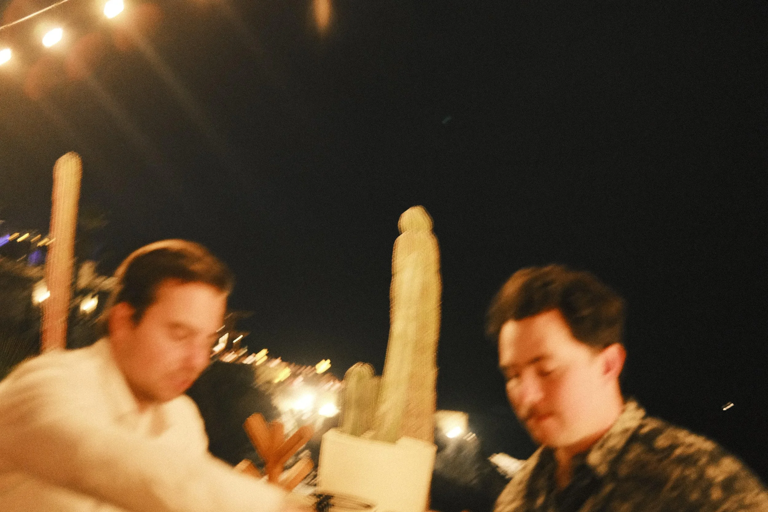 _DSF0100.JPG