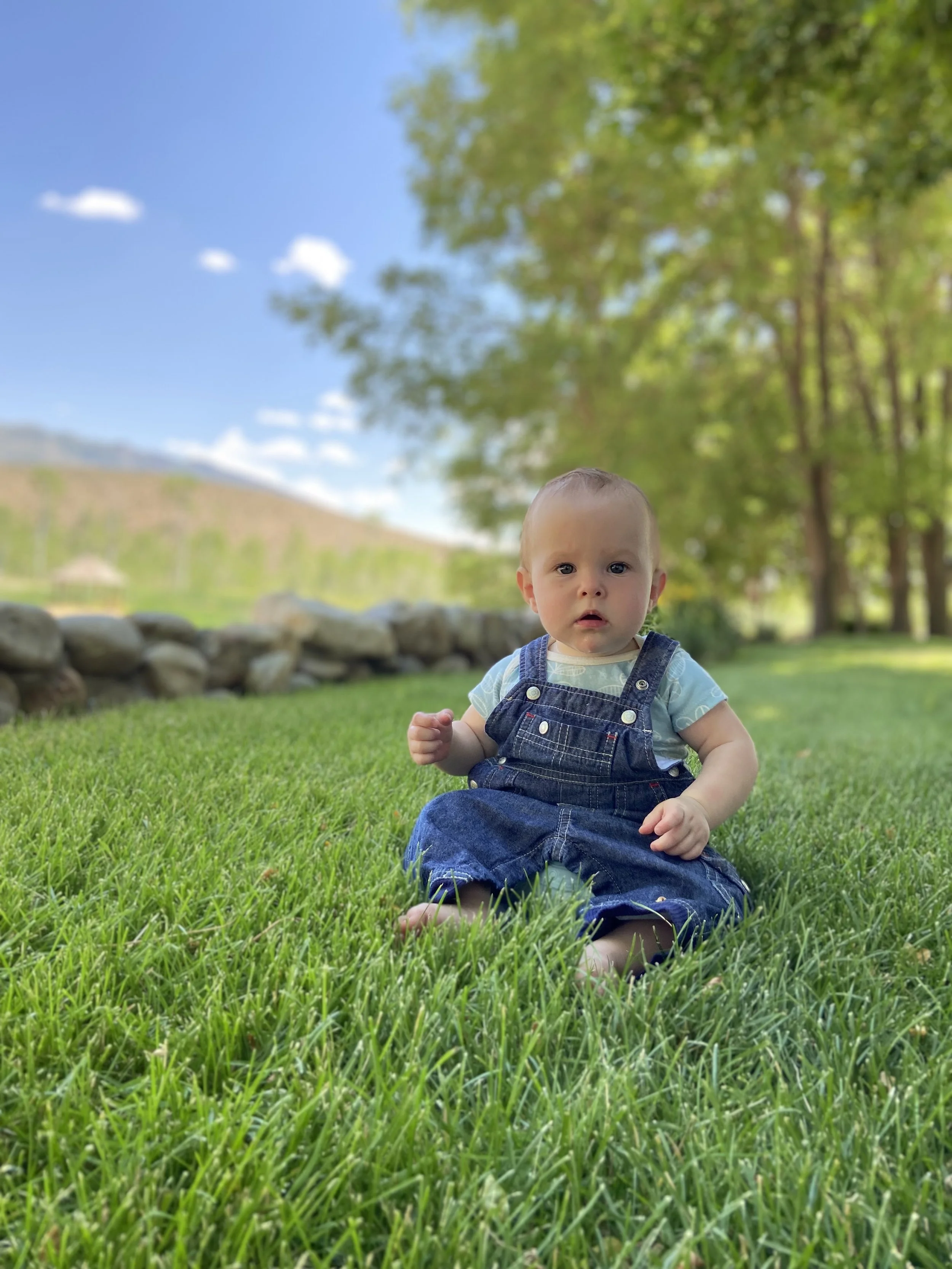 IMG_0351.jpeg