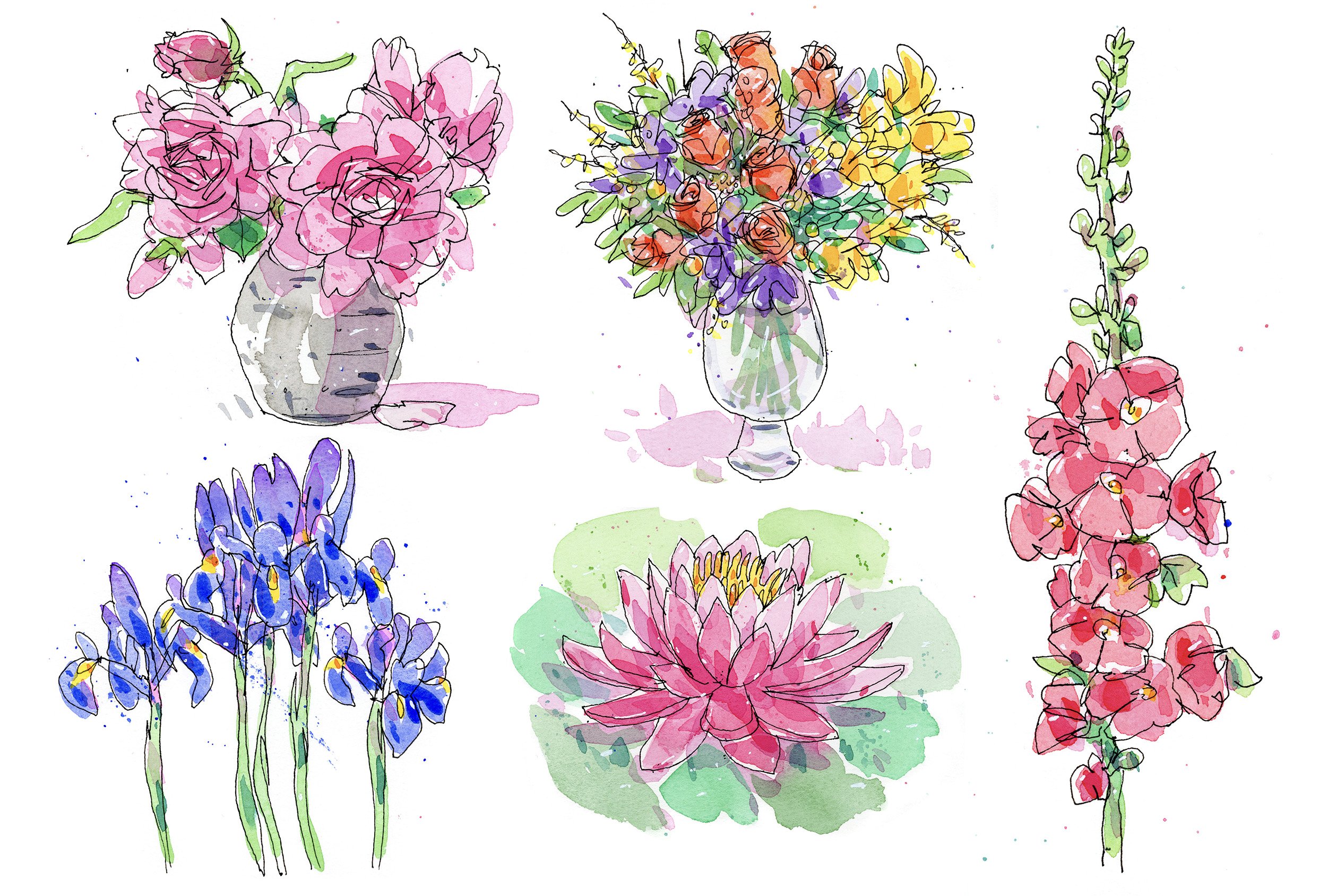  watercolor illustration of five different flower arrangements, including pink roses in a gray vase, multicolored mixed flowers in a glass vase, pink orchids on a stem, purple irises with green stems, and a pink water lily with green leaves.