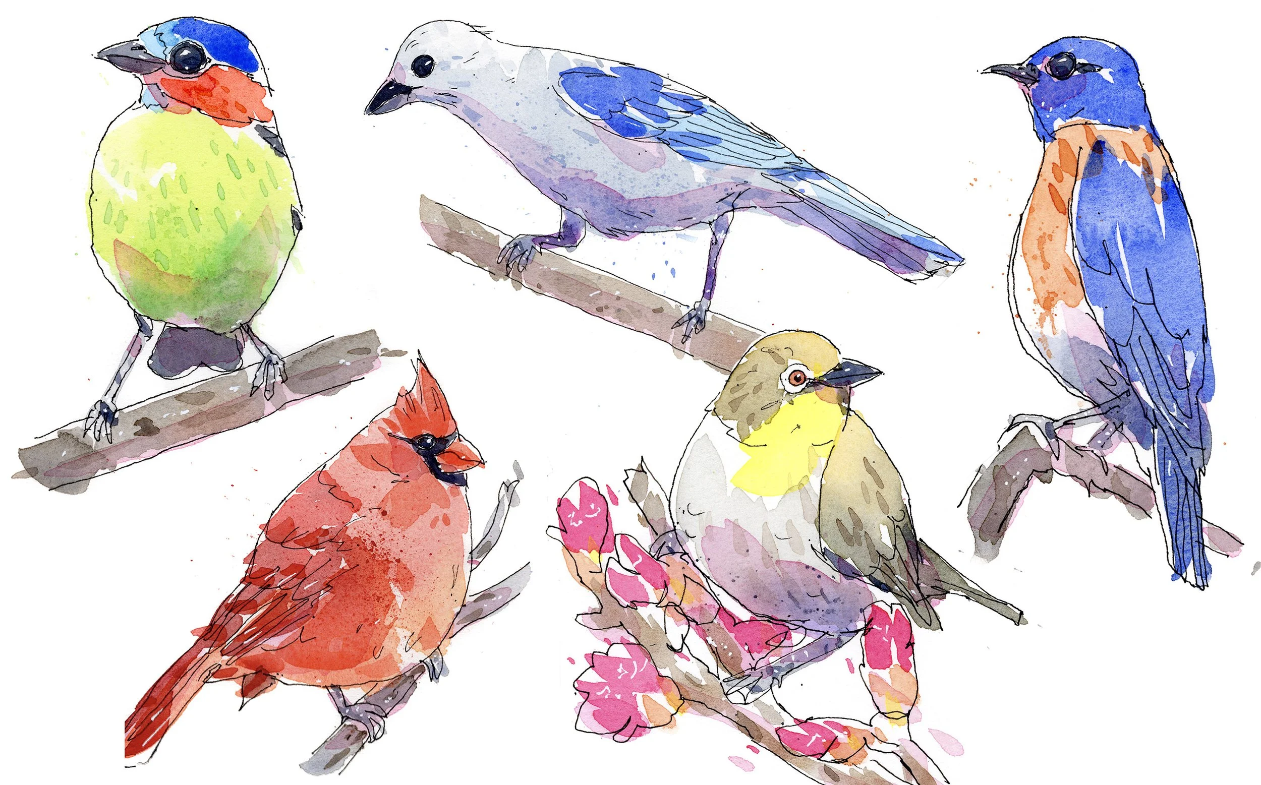 Watercolor illustration of five colorful birds perched on branches.