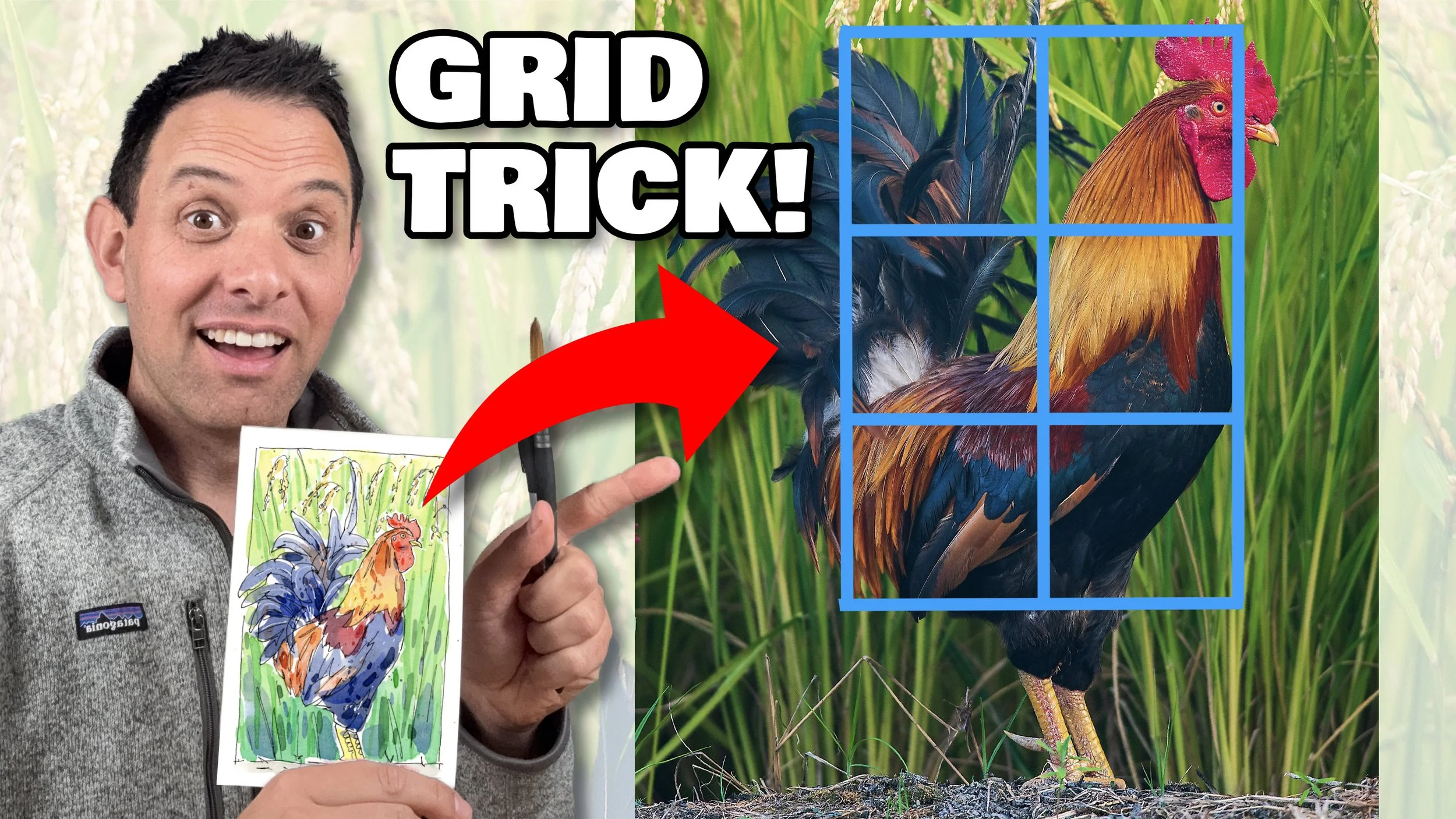 The Grid Trick That Makes Any Animal Easy to Sketch