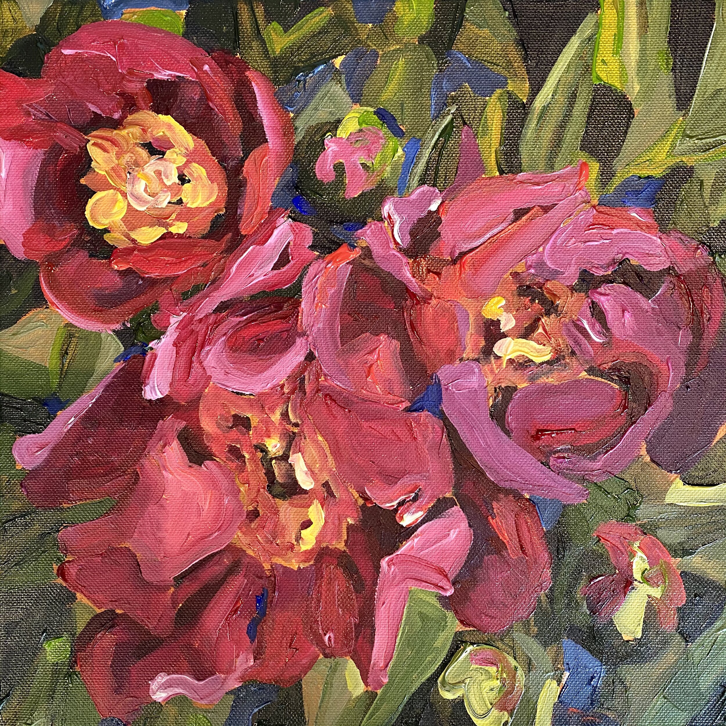 Dark pink peonies