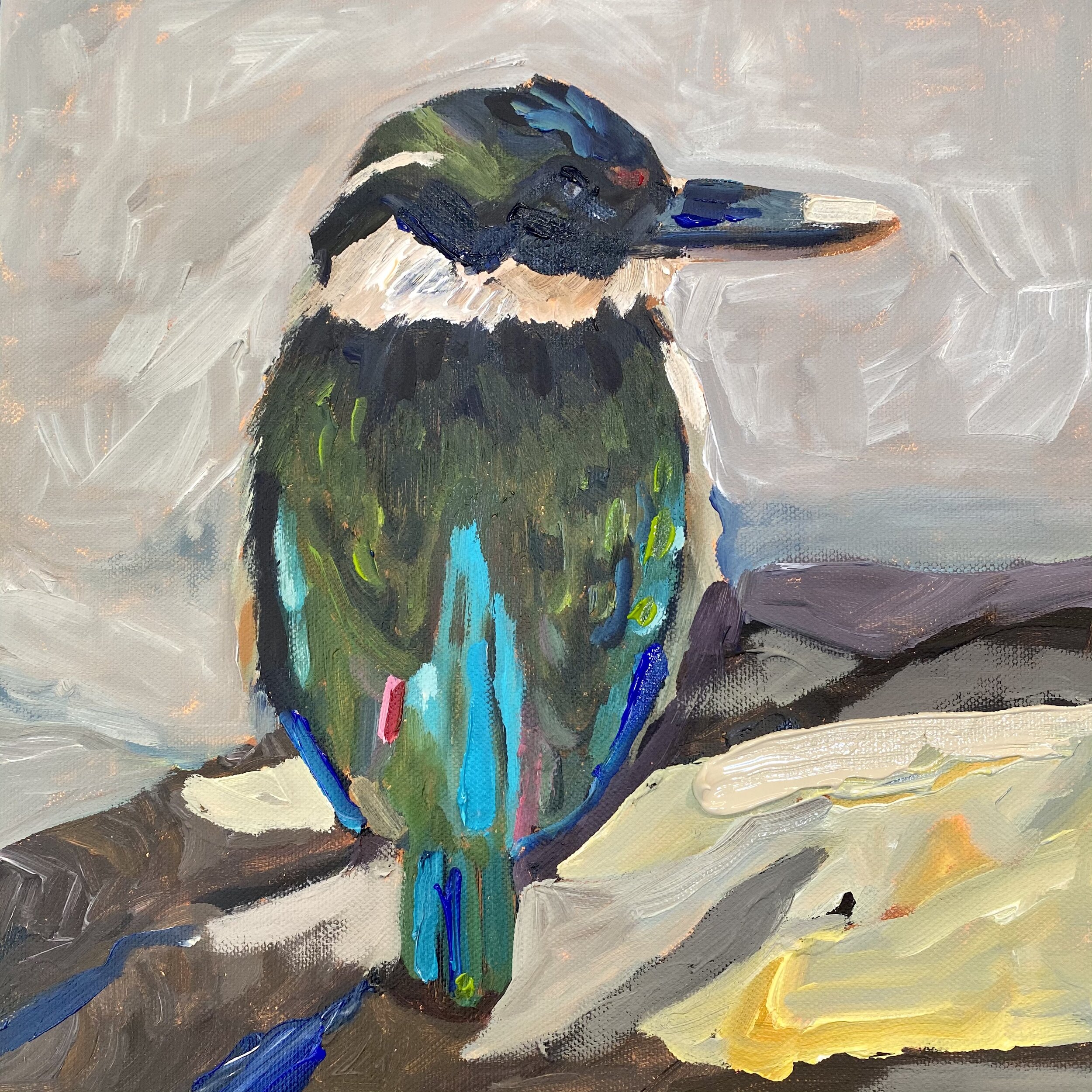 Kingfisher