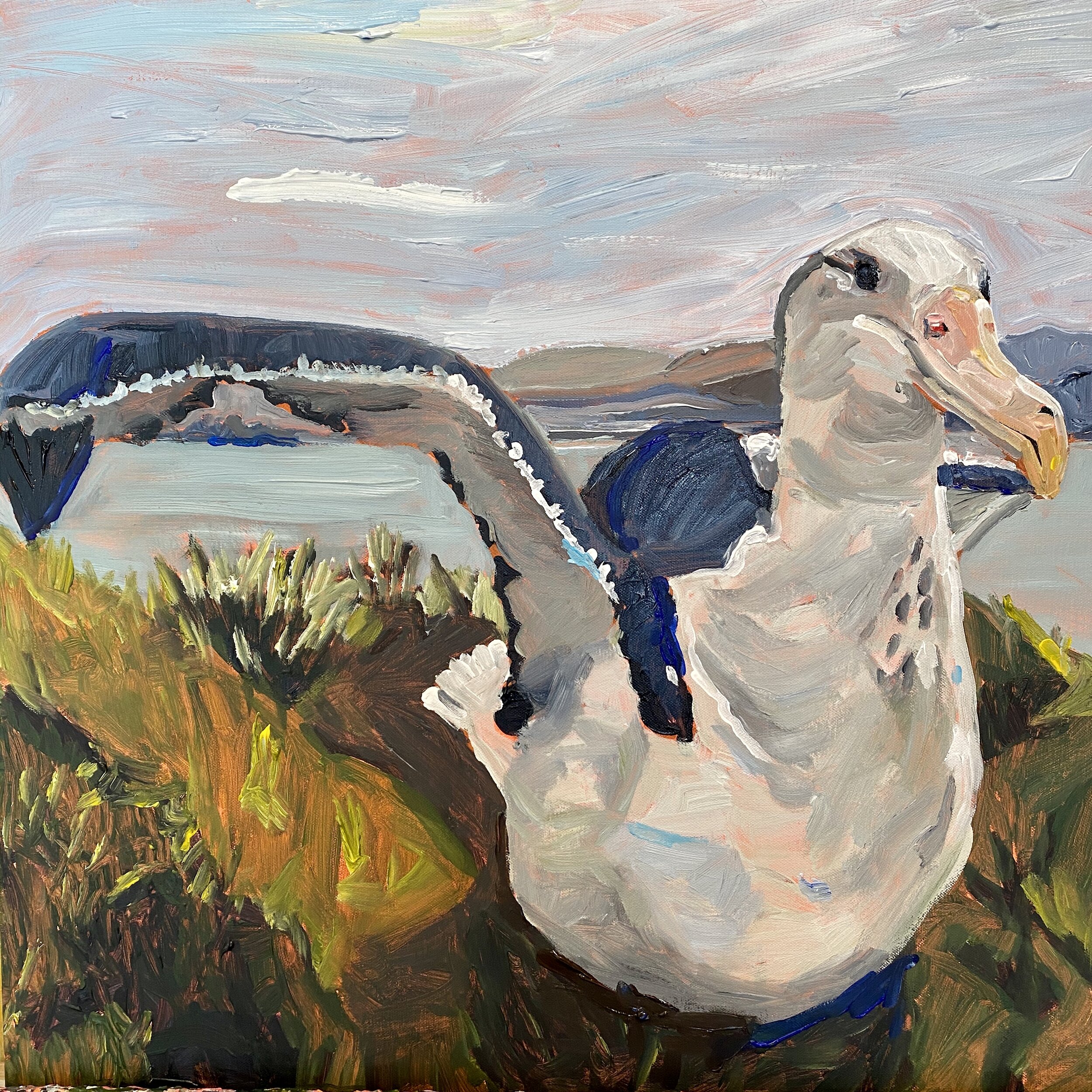 Albatross, available at The Artists Rom Gallery, Dunedin