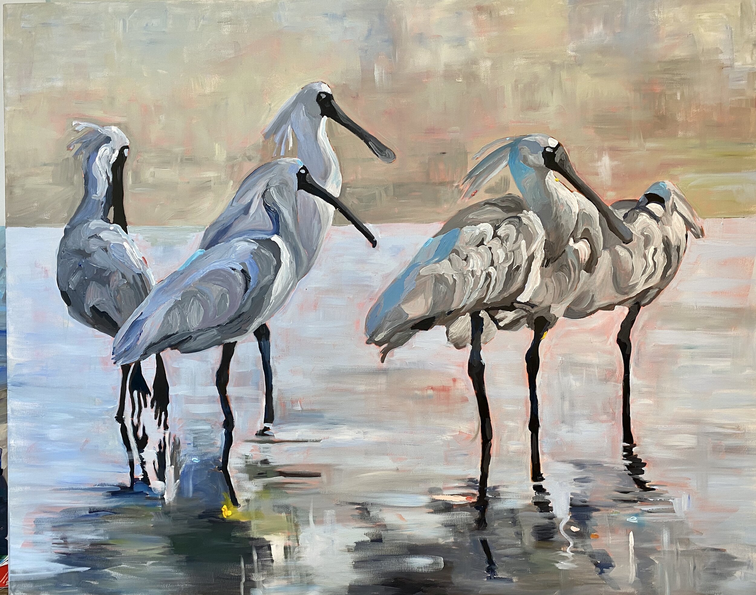 Royal Spoonbills SOLD