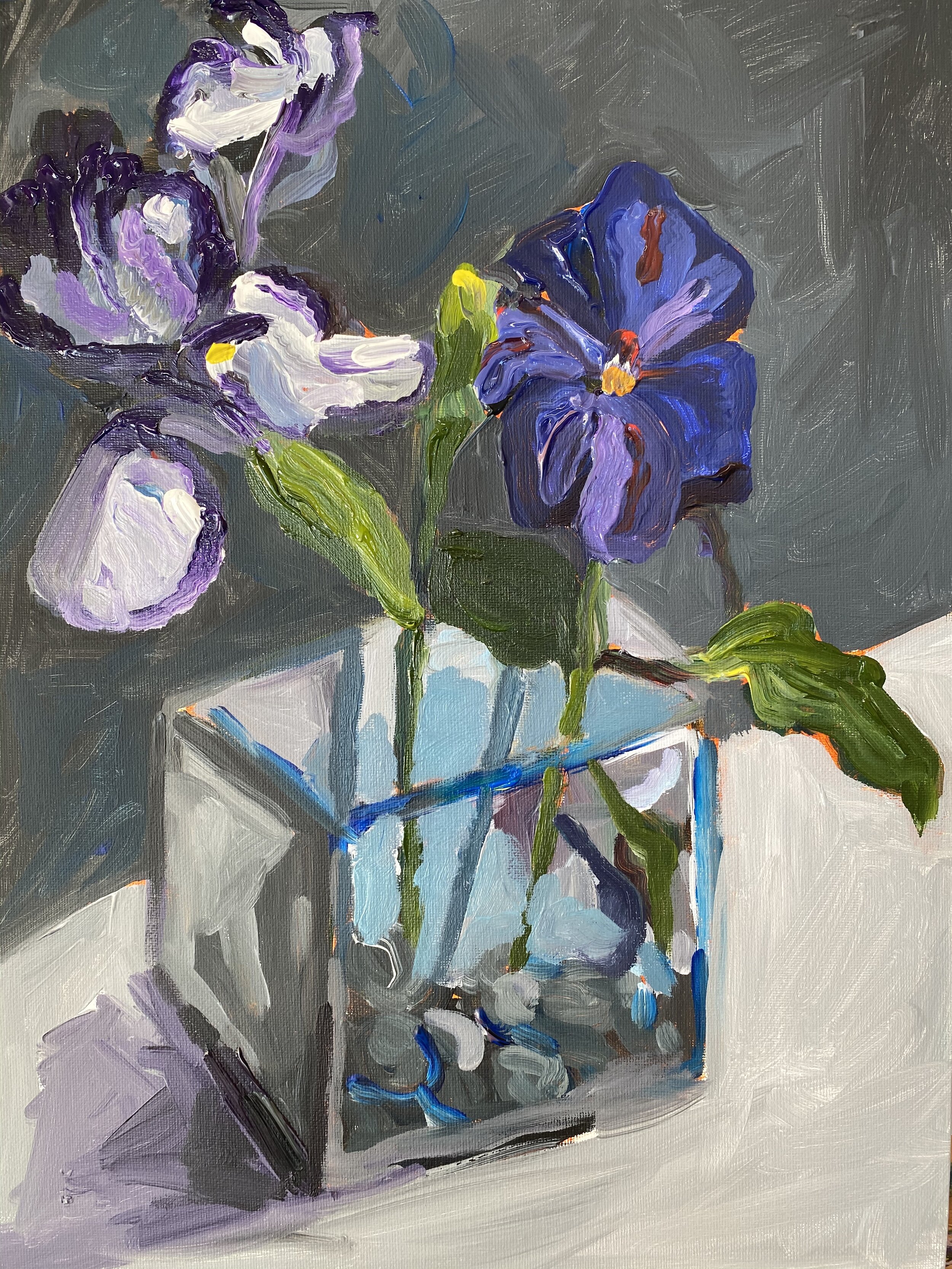 Studies
