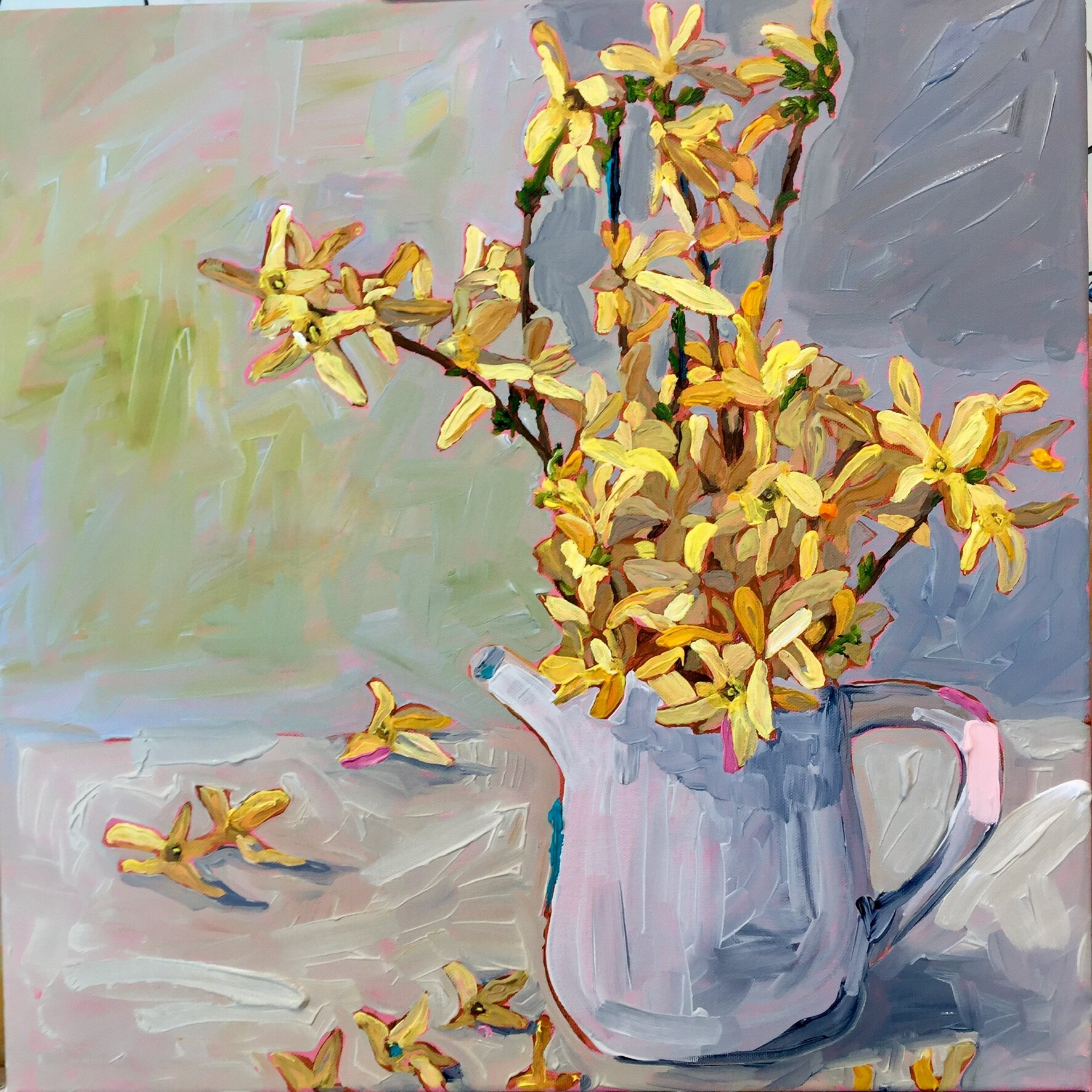 Forsythia SOLD Dunedin