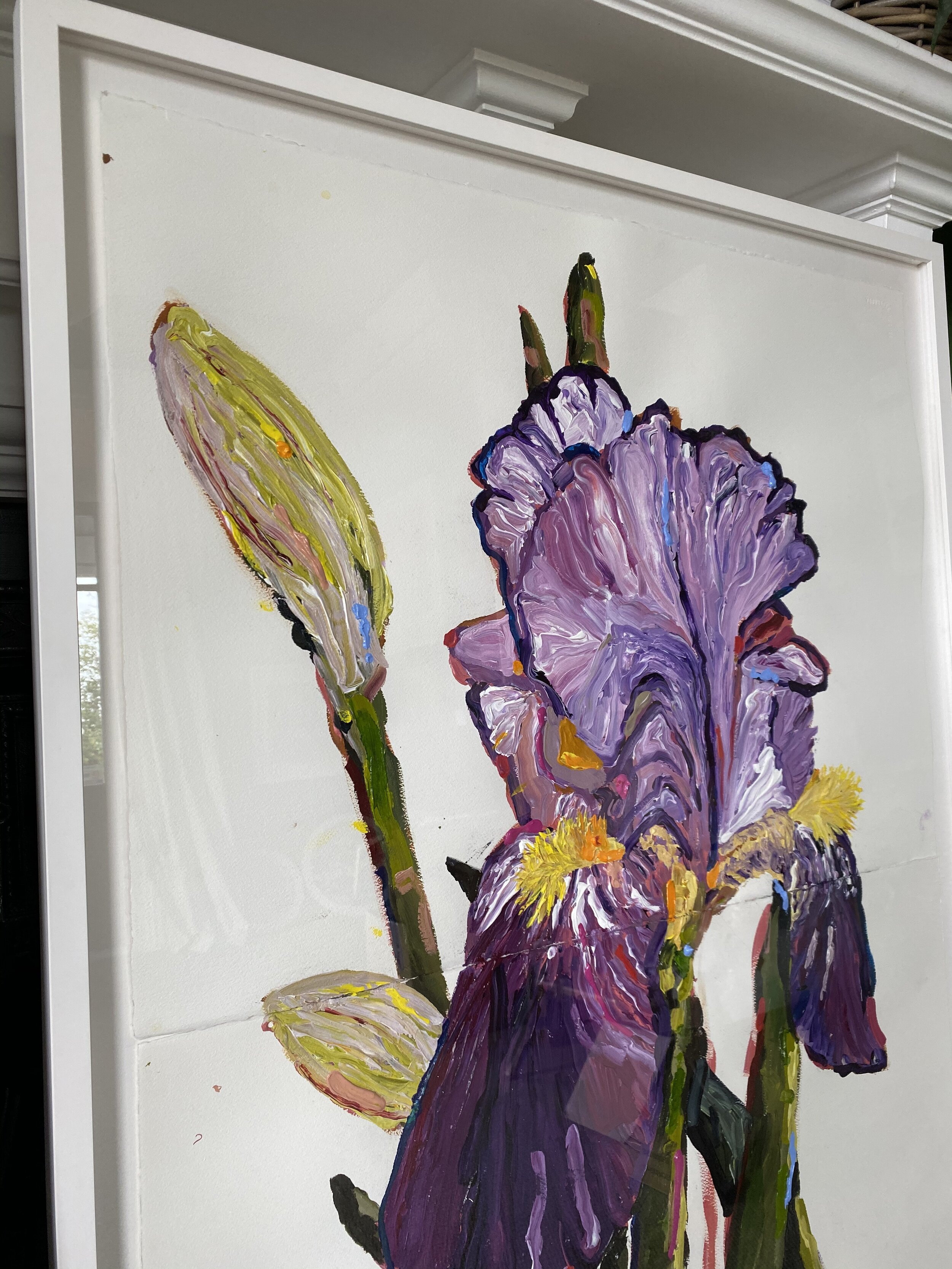 Large Iris on paper framed, available The Artists Room Dunedin