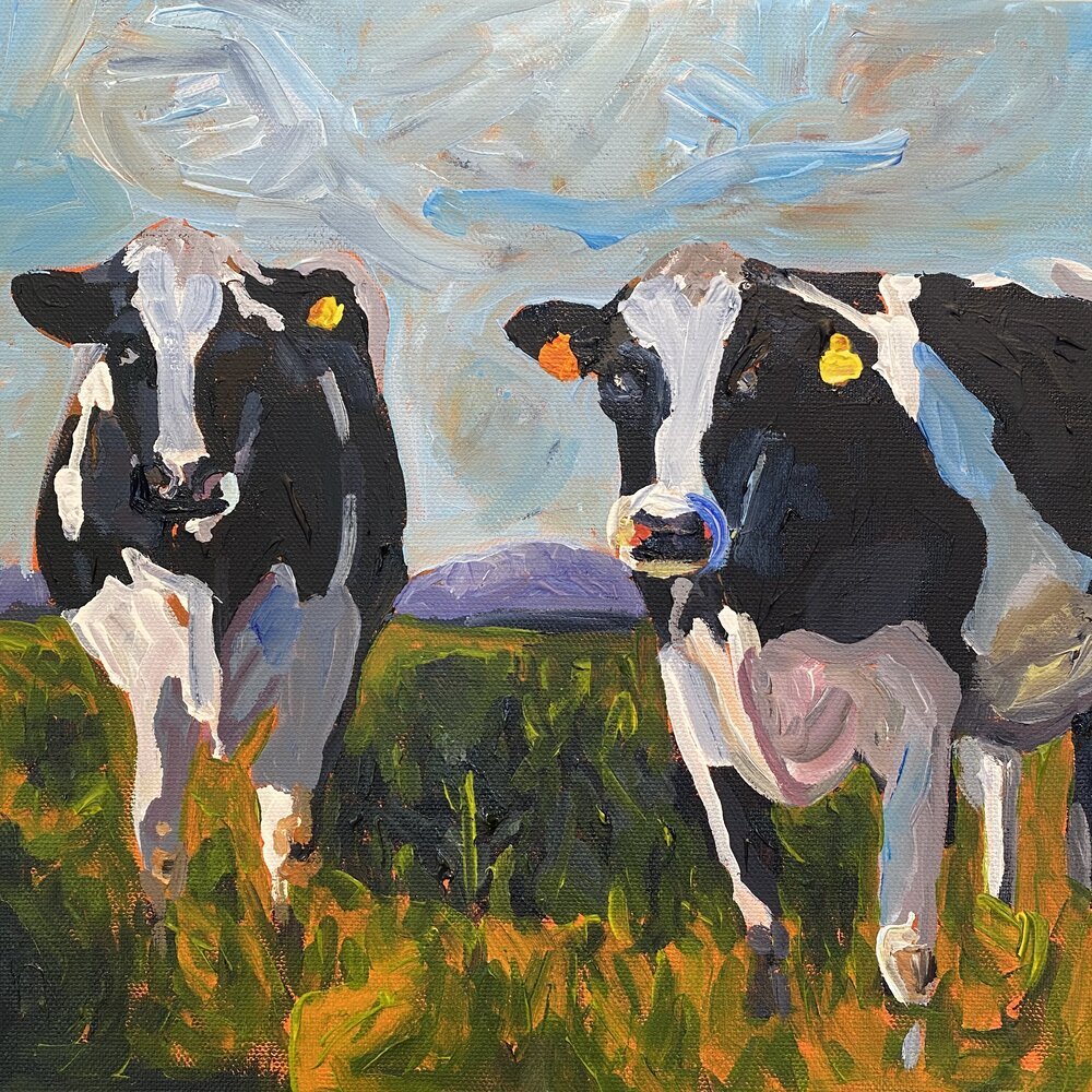Cows on Field