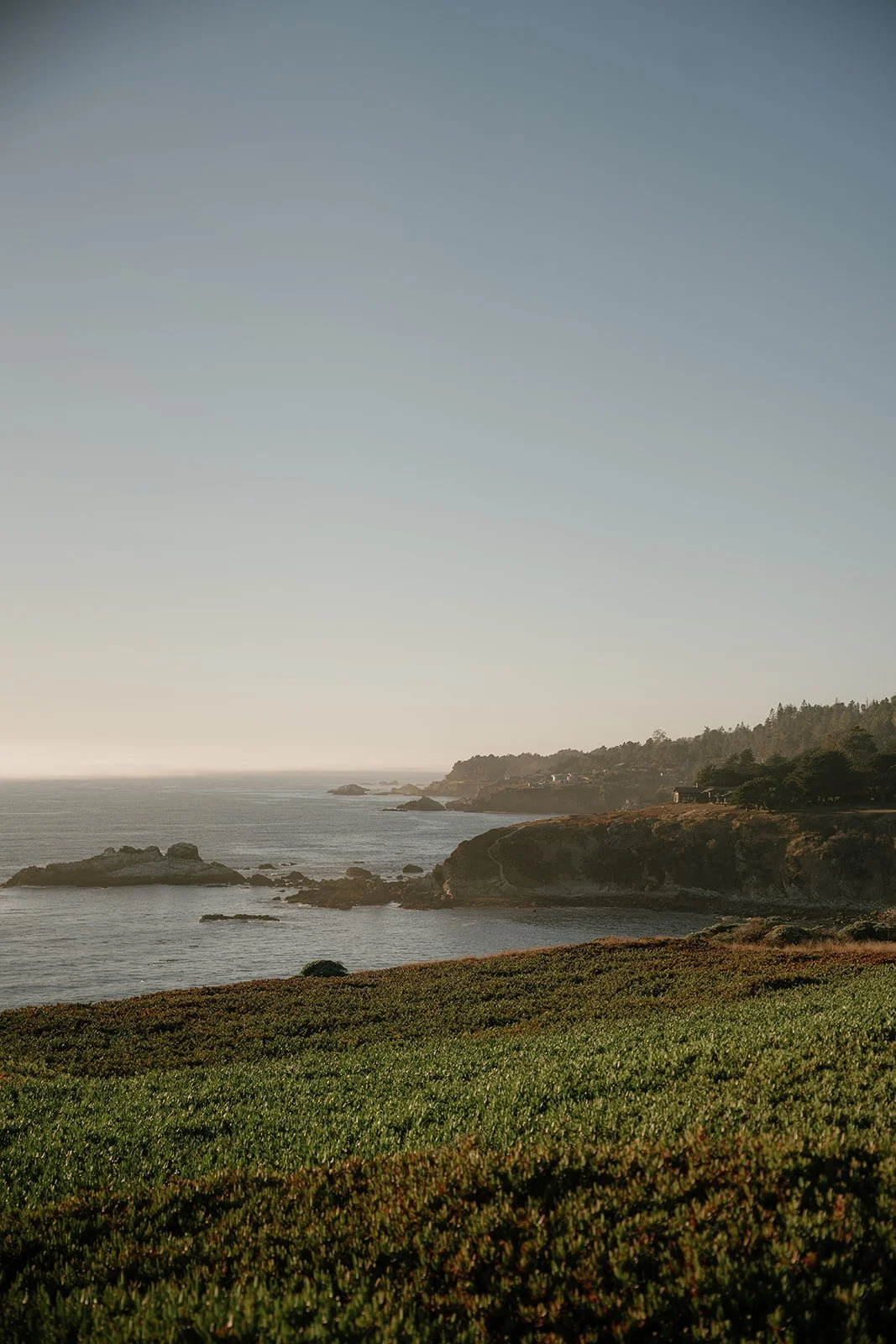 Laura+Dean-Timber-Cove-Wedding0823.jpg