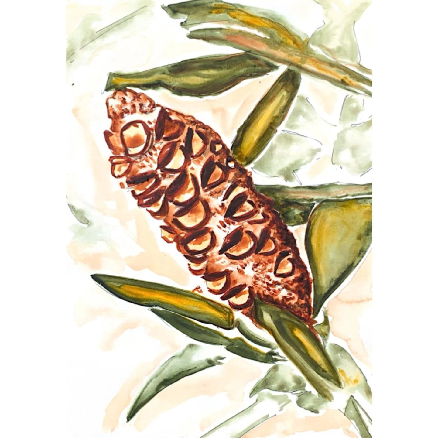 Finished example of Banksia Pick and Paint by Colleen Herbert Art.jpg