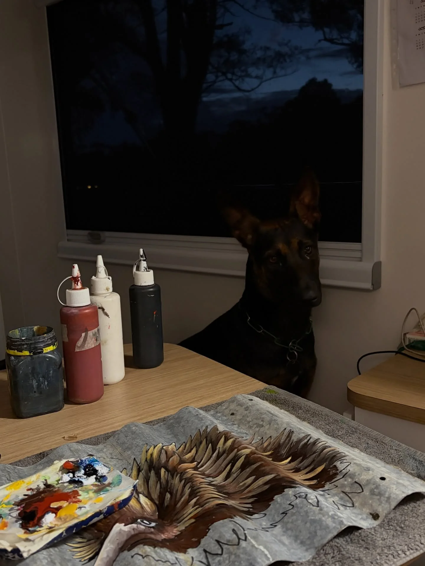 1️⃣2️⃣3️⃣ A moment

My beautiful night sky
My beautiful little echidna painting 🖼️ 
My beautiful&hellip;&hellip;. You thought I was going to say dog - but it is Dane&rsquo;s cute little doggy - Pocket

BUT I did have to make my own dinner, during MA