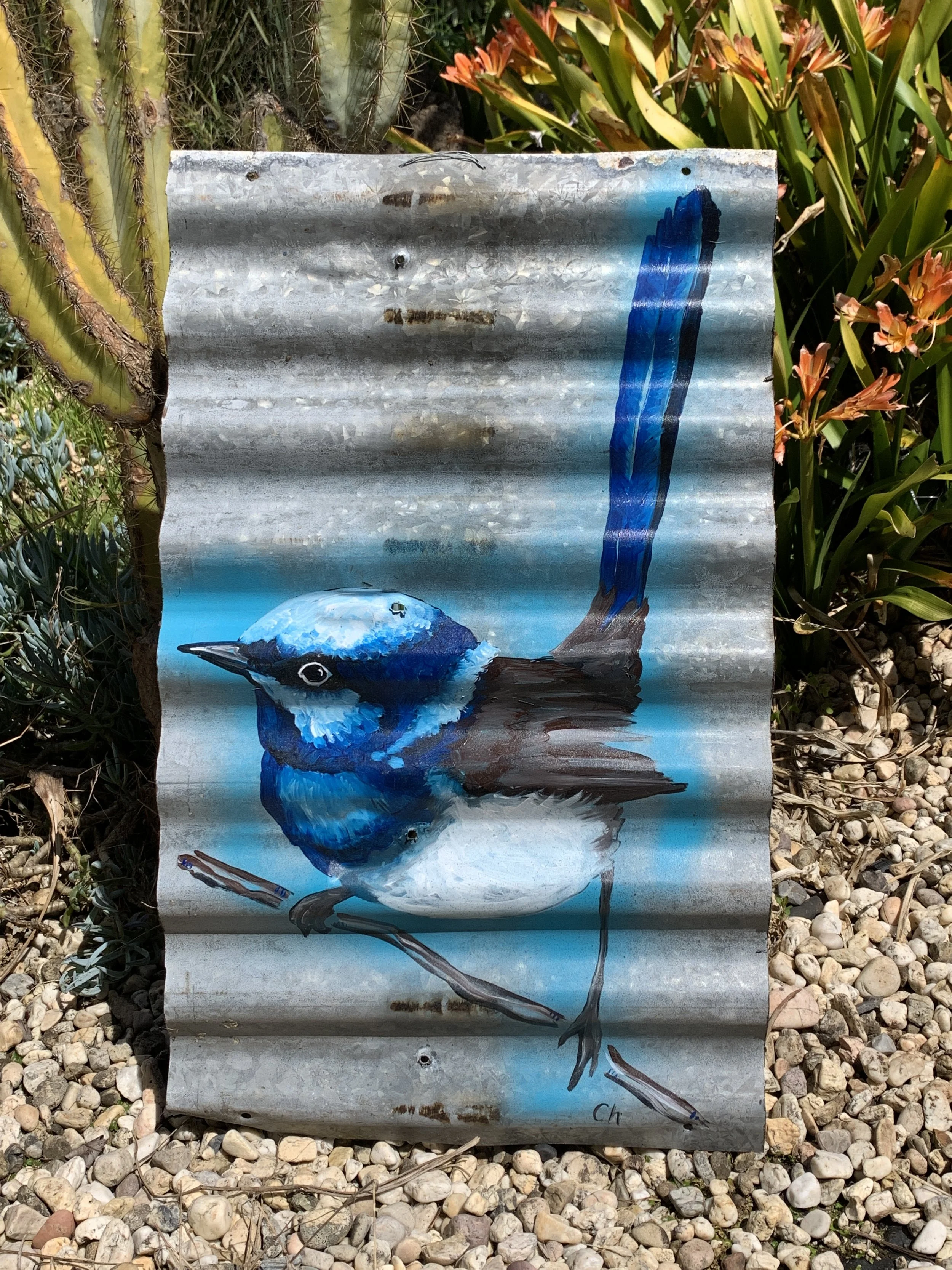 COLLEEN-HERBERT-GARDEN-ART-BLUE-WREN-AUSTRALIAN-BIRD-ART.JPG