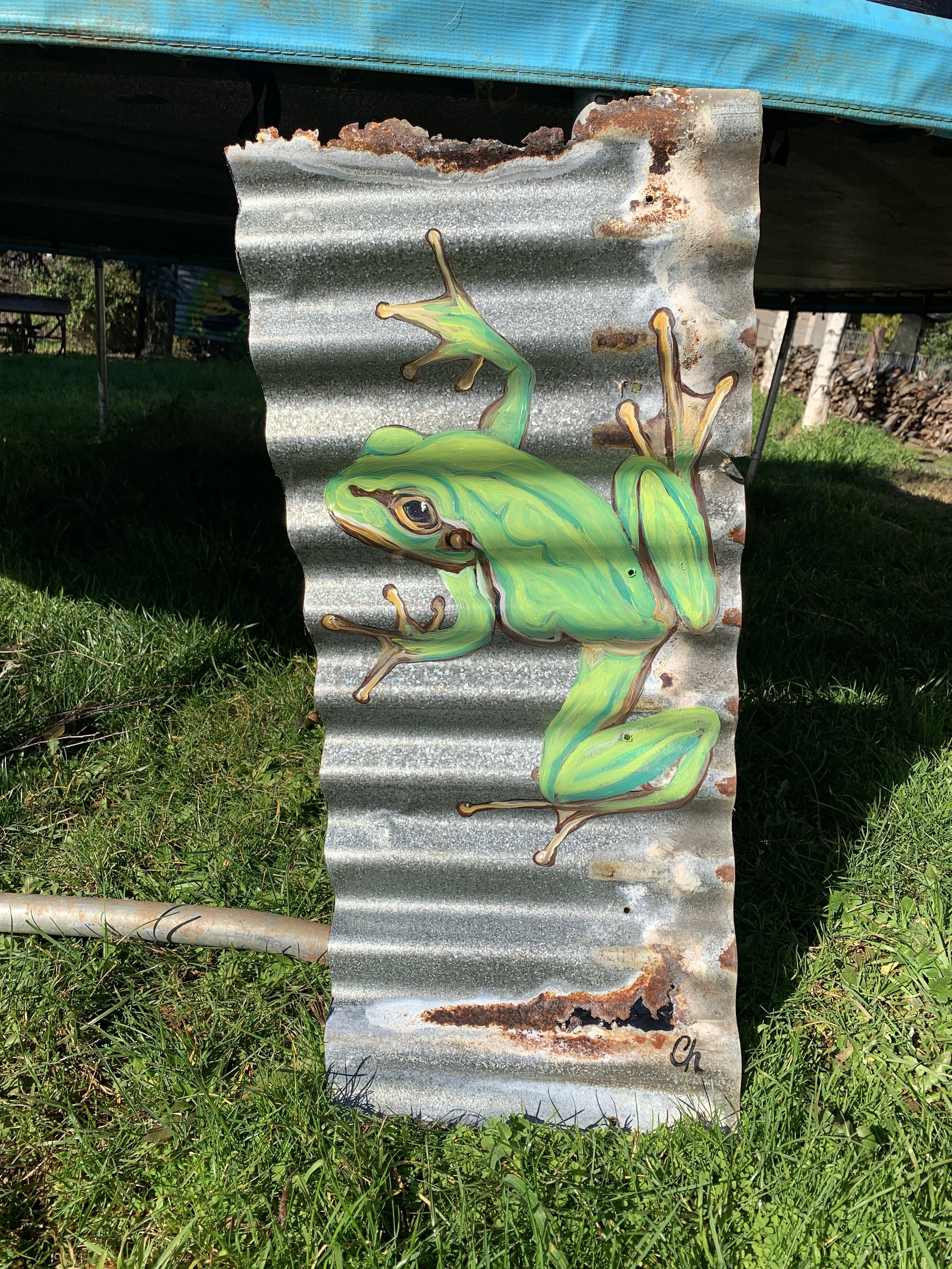 COLLEEN-HERBERT-CORRUGATED-IRON-ART-GREEN-FROG.JPG