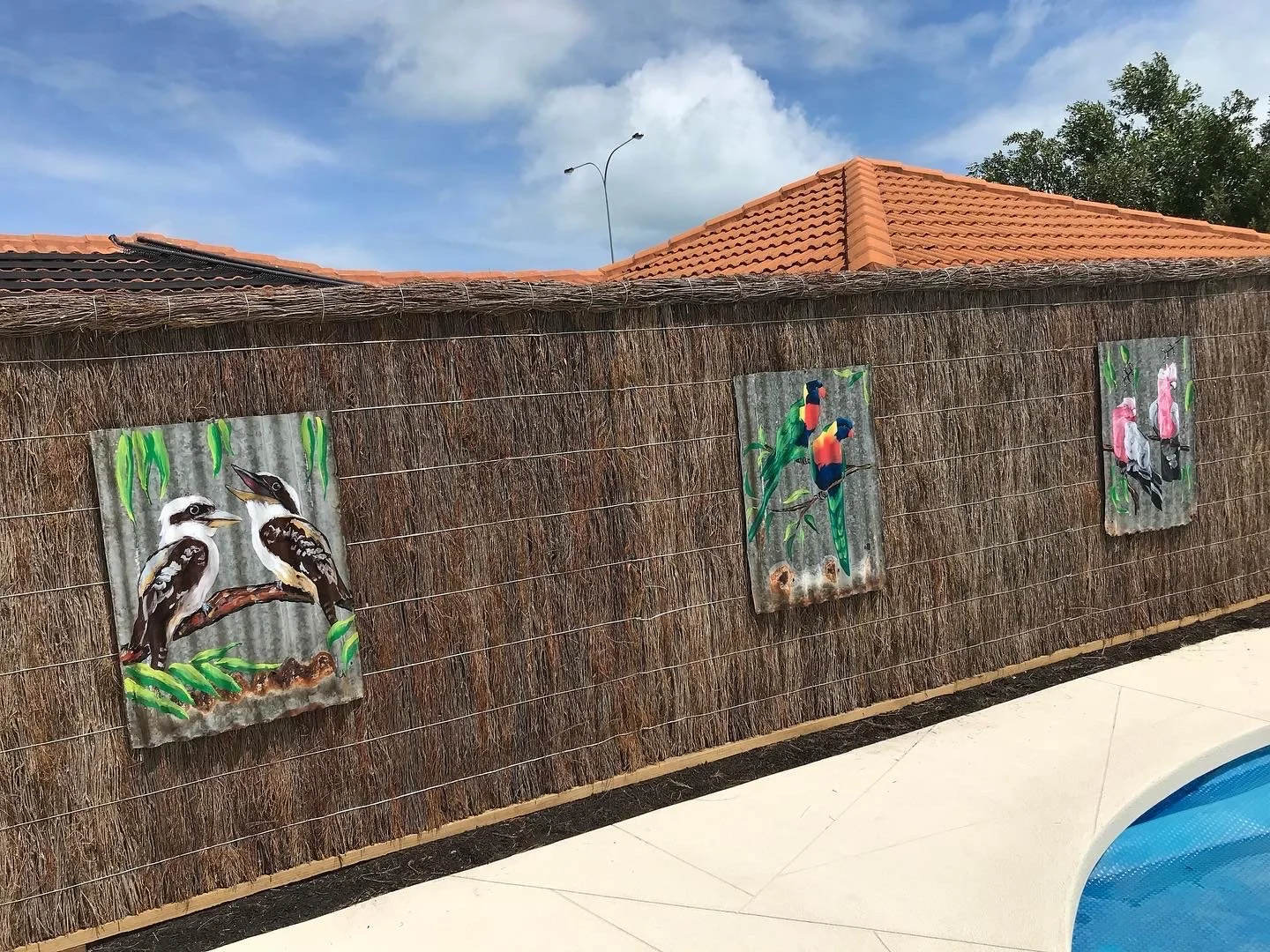 OUTDOOR-ART-CORRUGATED-IRON-KOOKABURRA-COLLEEN-HERBERT.JPG