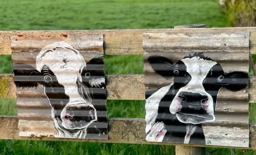 COLLEEN-HERBERT-CORRUGATED-IRON-GARDEN-ART COWS ON FENCE.jpeg
