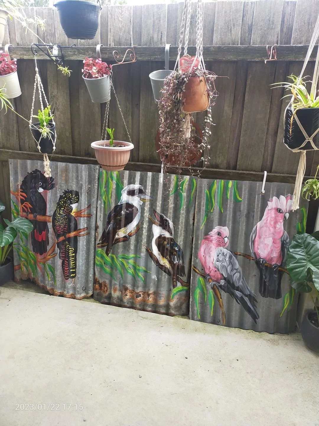 OUTDOOR-ART-CORRUGATED-IRON-PINK-GALAH-COLLEEN-HERBERT.jpg