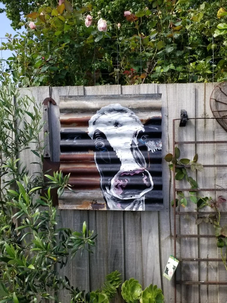 CORRUGATED-IRON-ART COW-COLLEEN-HERBERT.JPG
