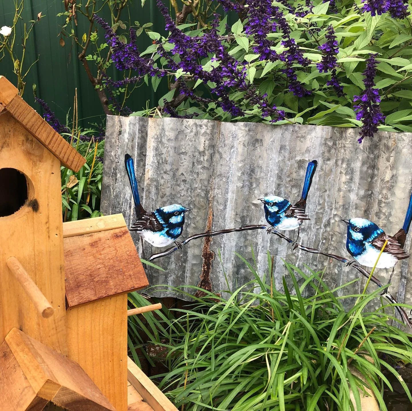 OUTDOOR-ART-CORRUGATED-IRON- 3 BLUE-WREN-COLLEEN-HERBERT.jpg