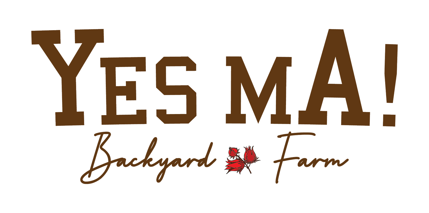 YES MA! Backyard Farm