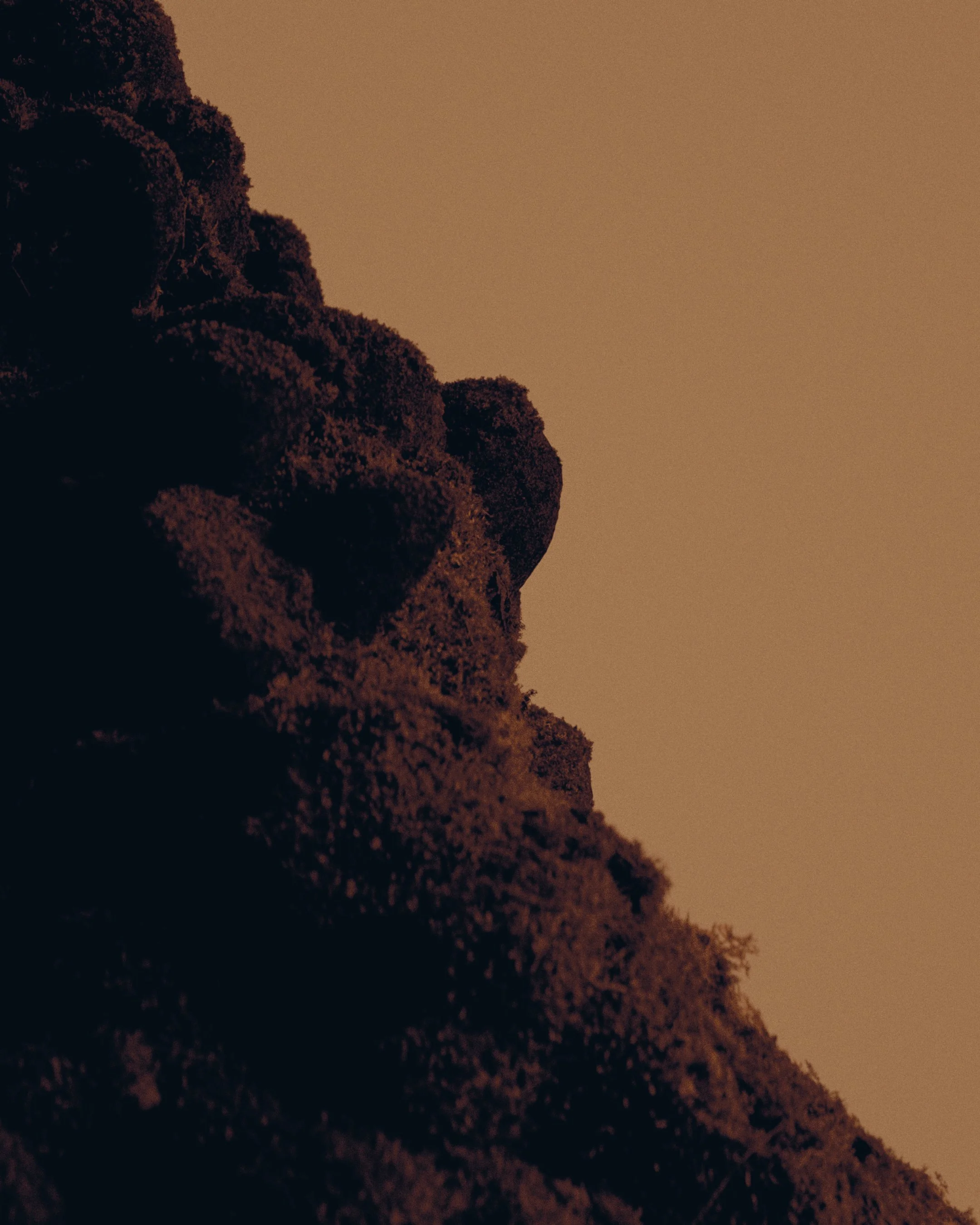 Close-up of a textured surface resembling moss or lichen, with a cloudy sky in the background.