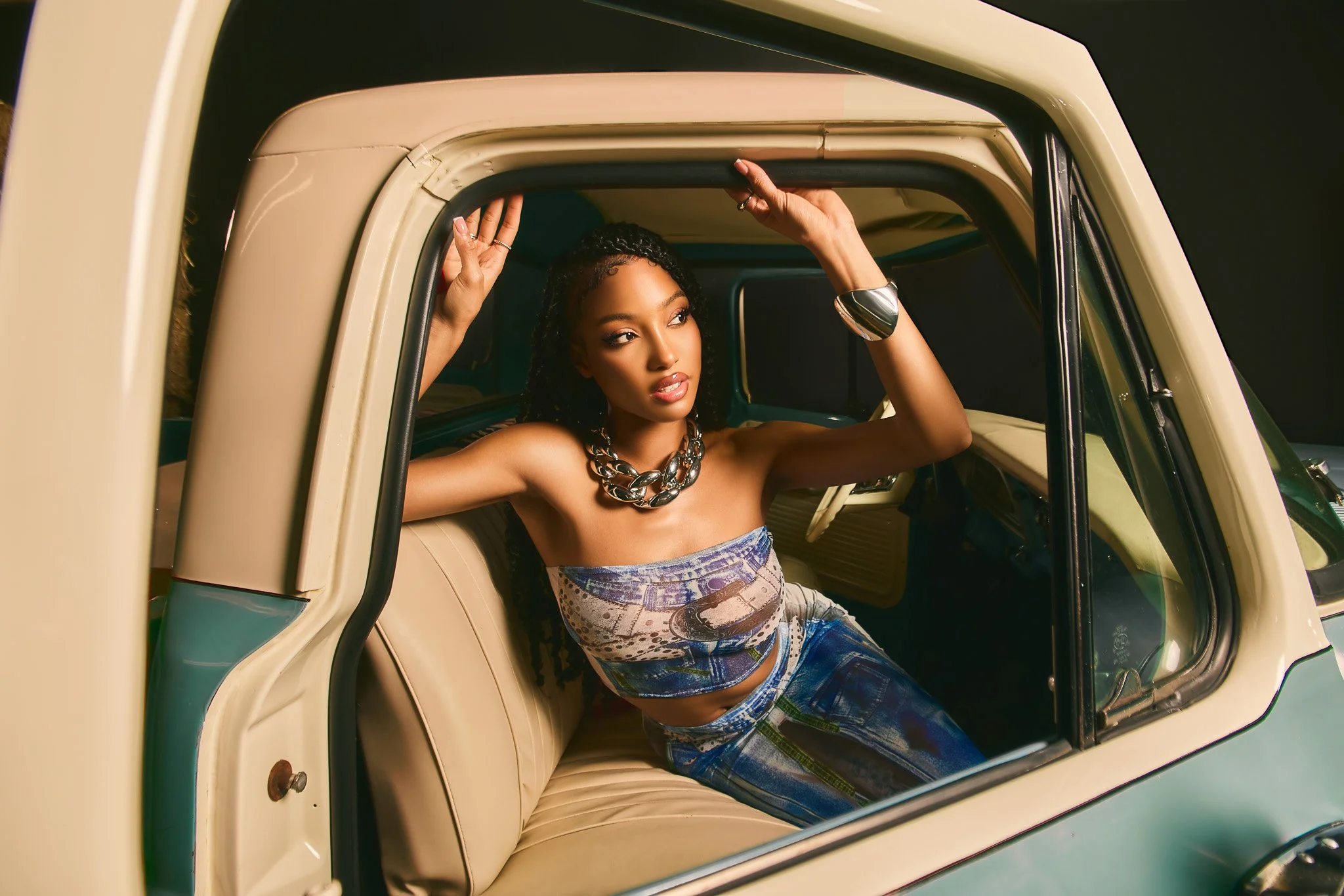 FESTIVAL PT110245 2.jpg